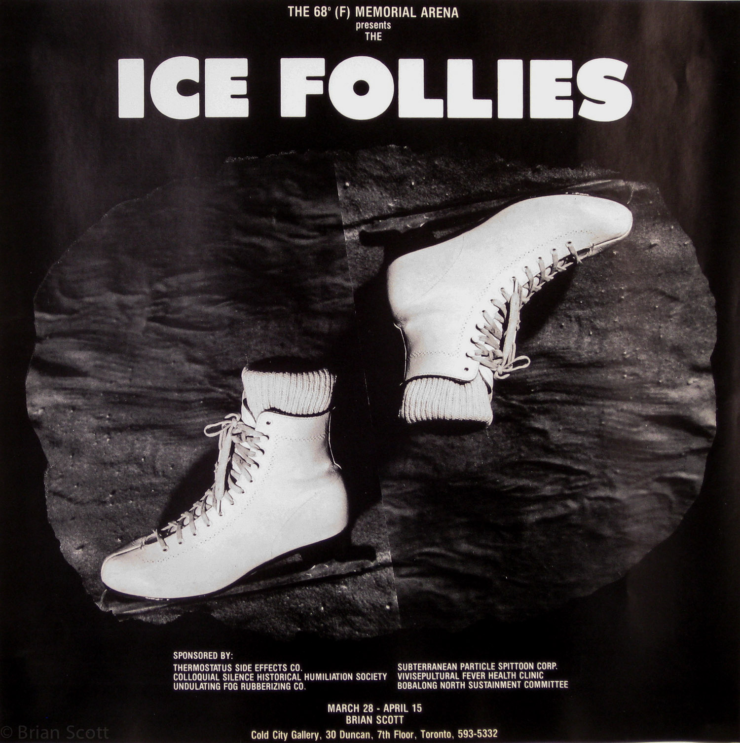 The 68º (F) Memorial Arena presents The Ice Follies