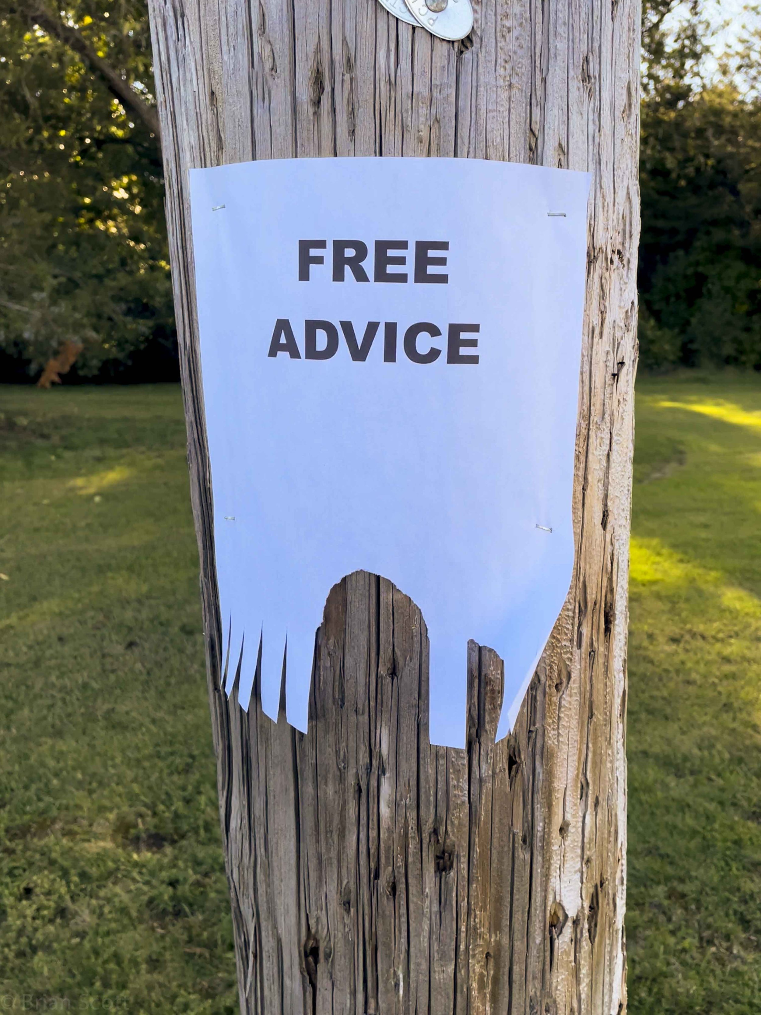'Free Advice'