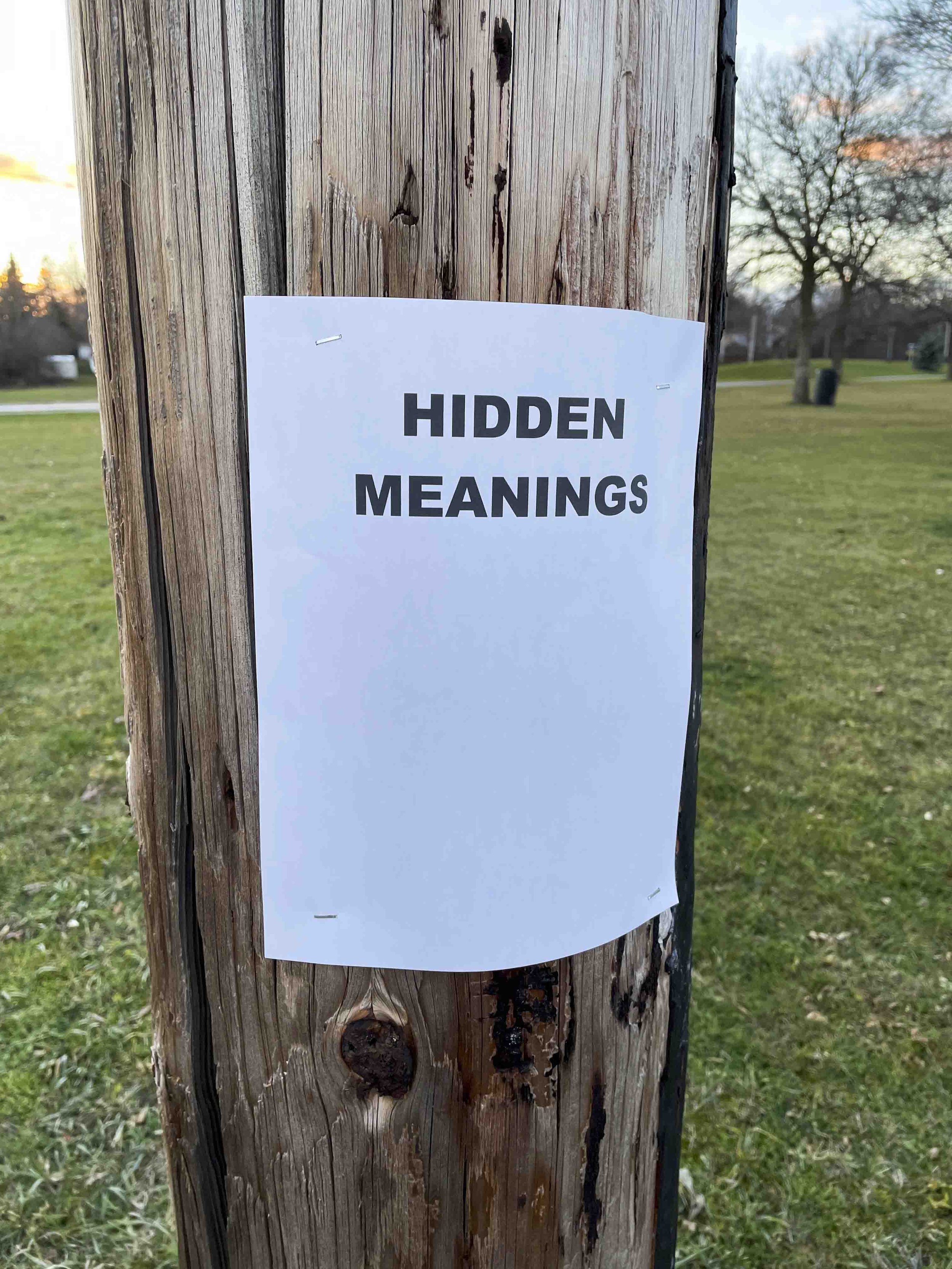 'Hidden Meanings'