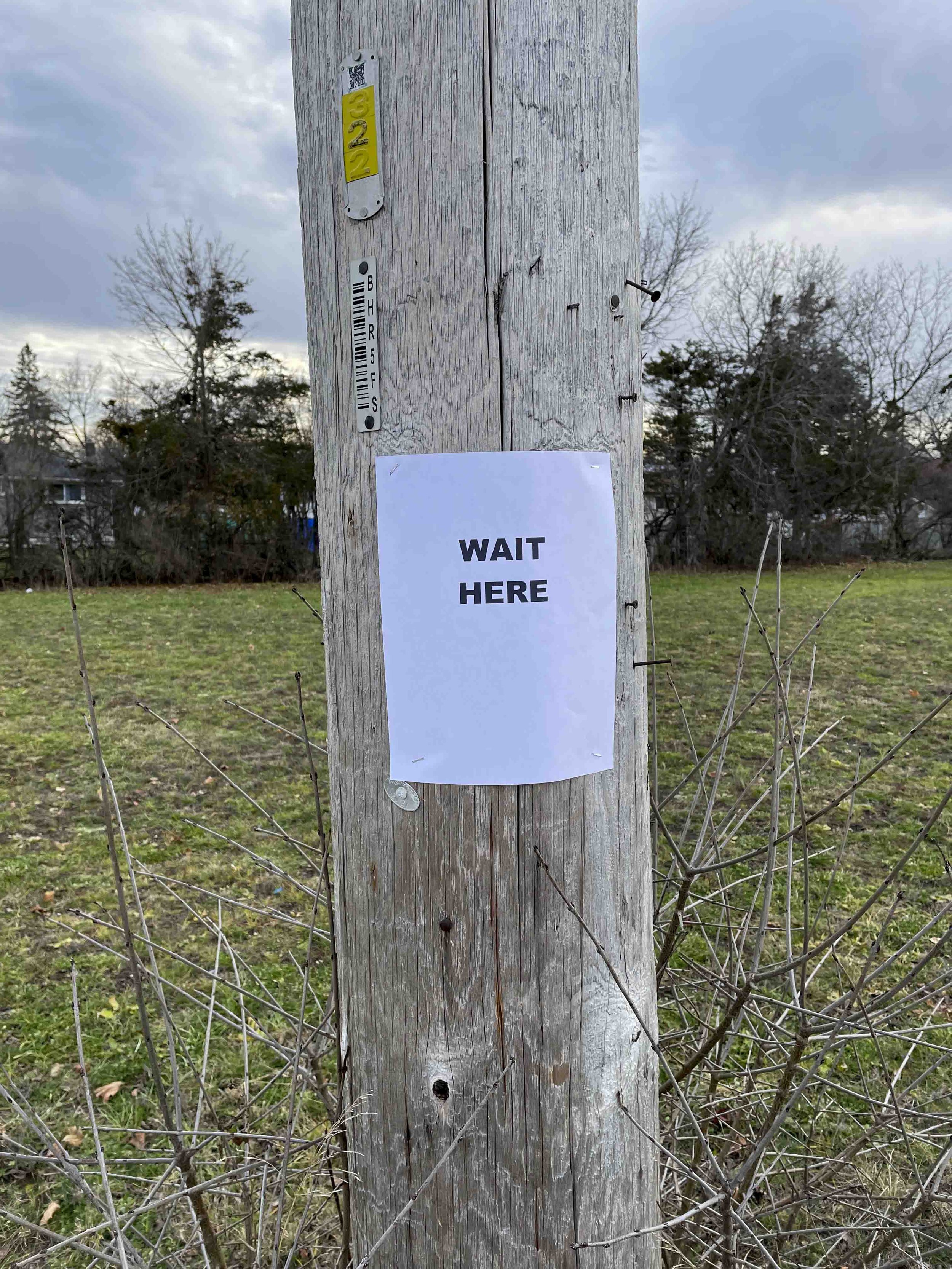 'Wait Here'