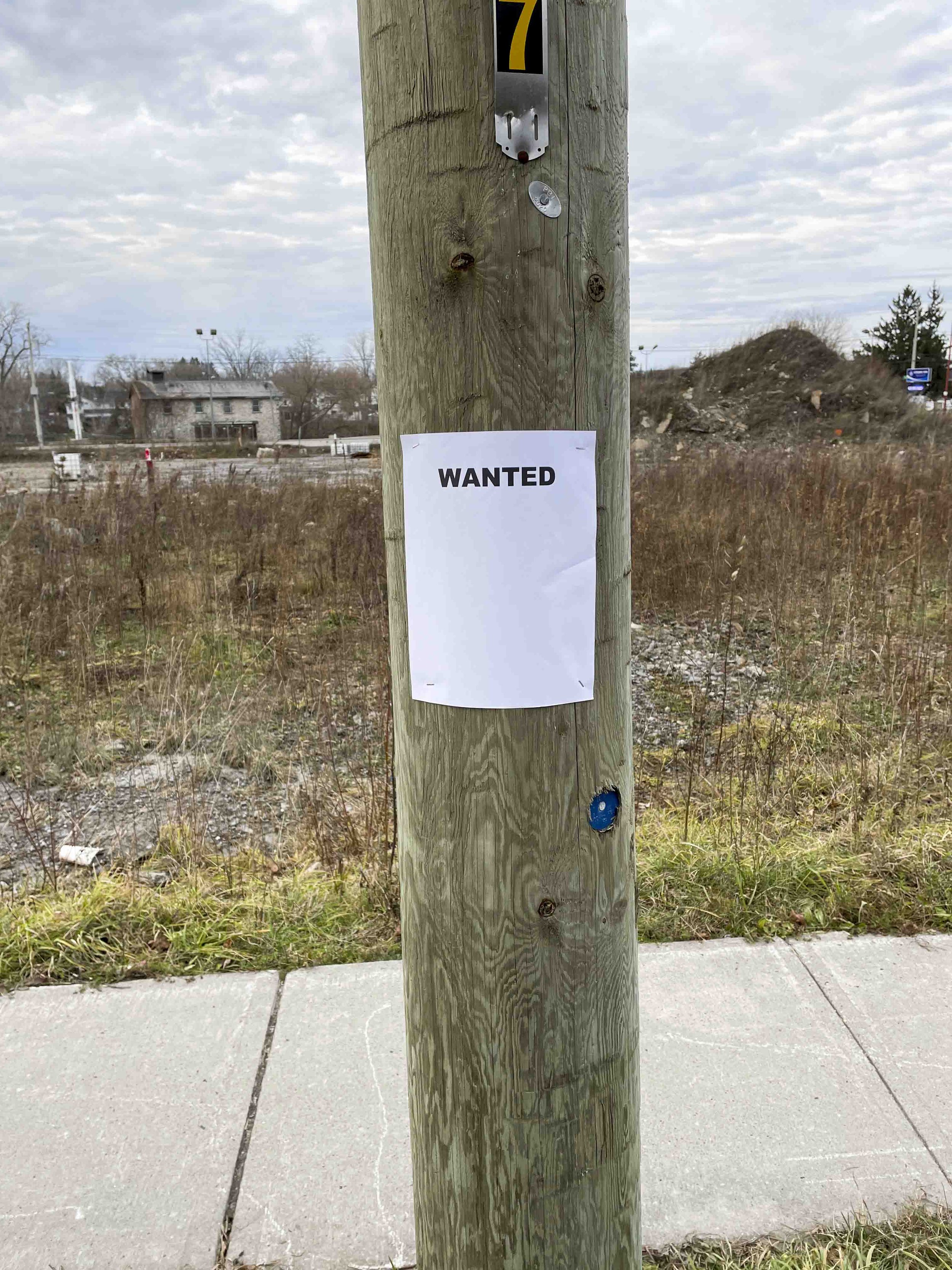 'Wanted'