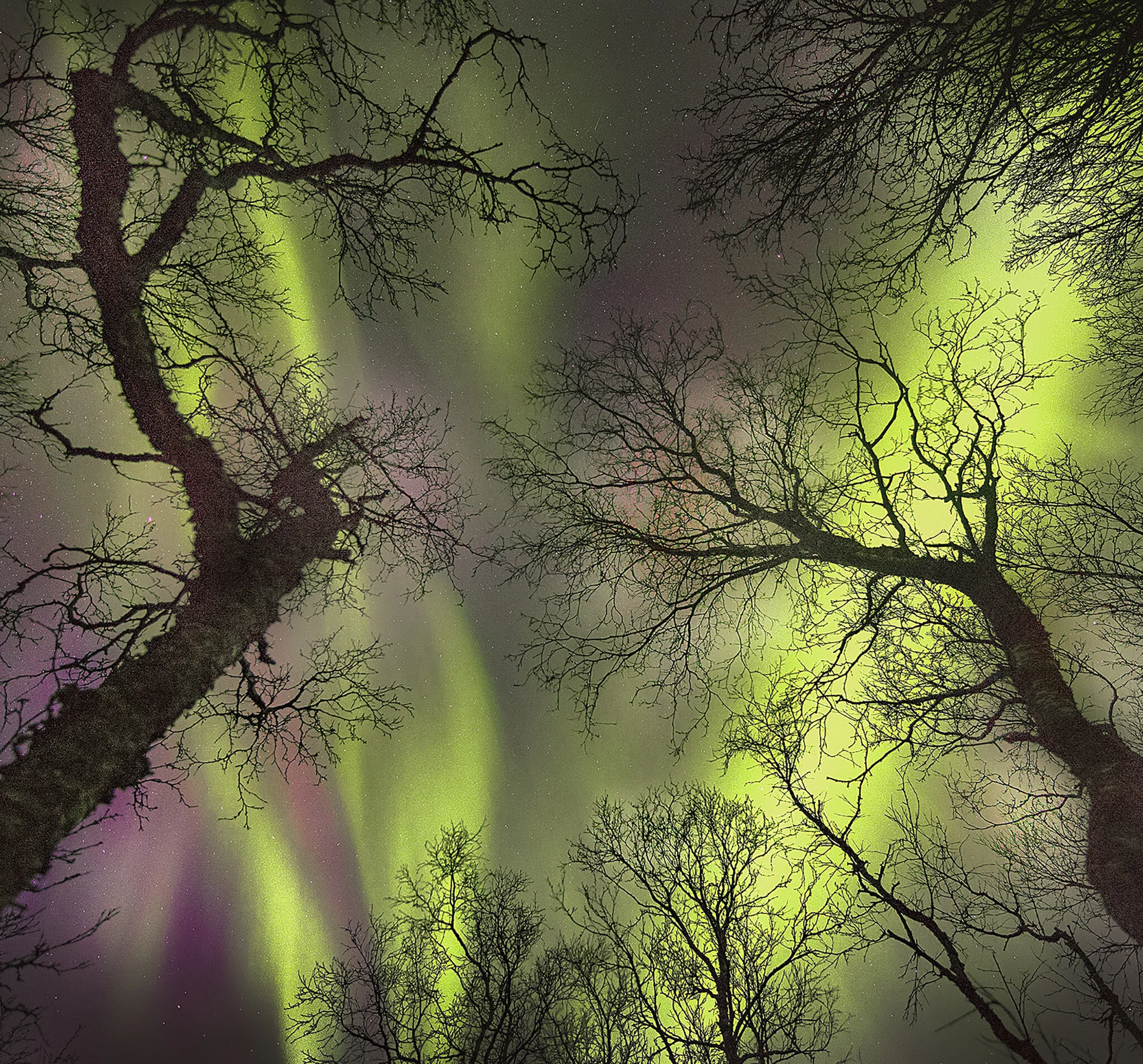 Nordlys 10.jpg