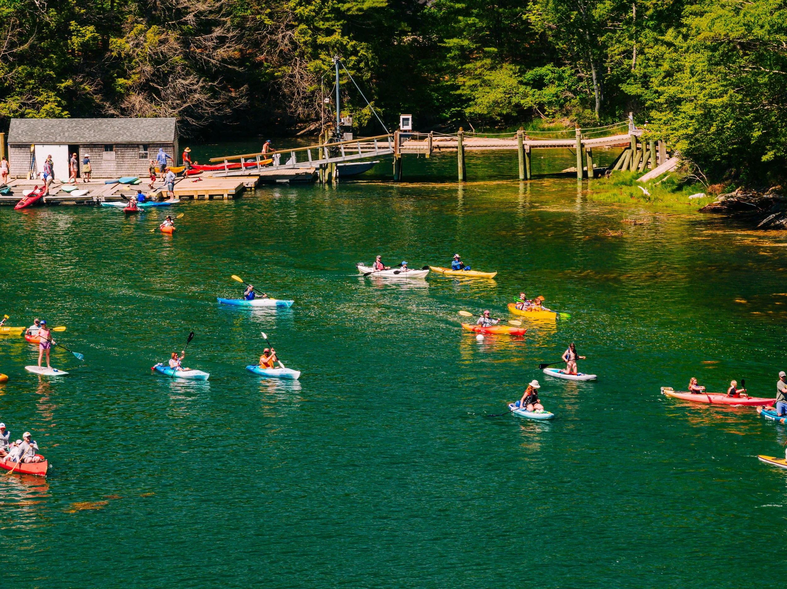 HeartyRoots-PaddleforAPurpose2026-MatTrogner-35.jpg