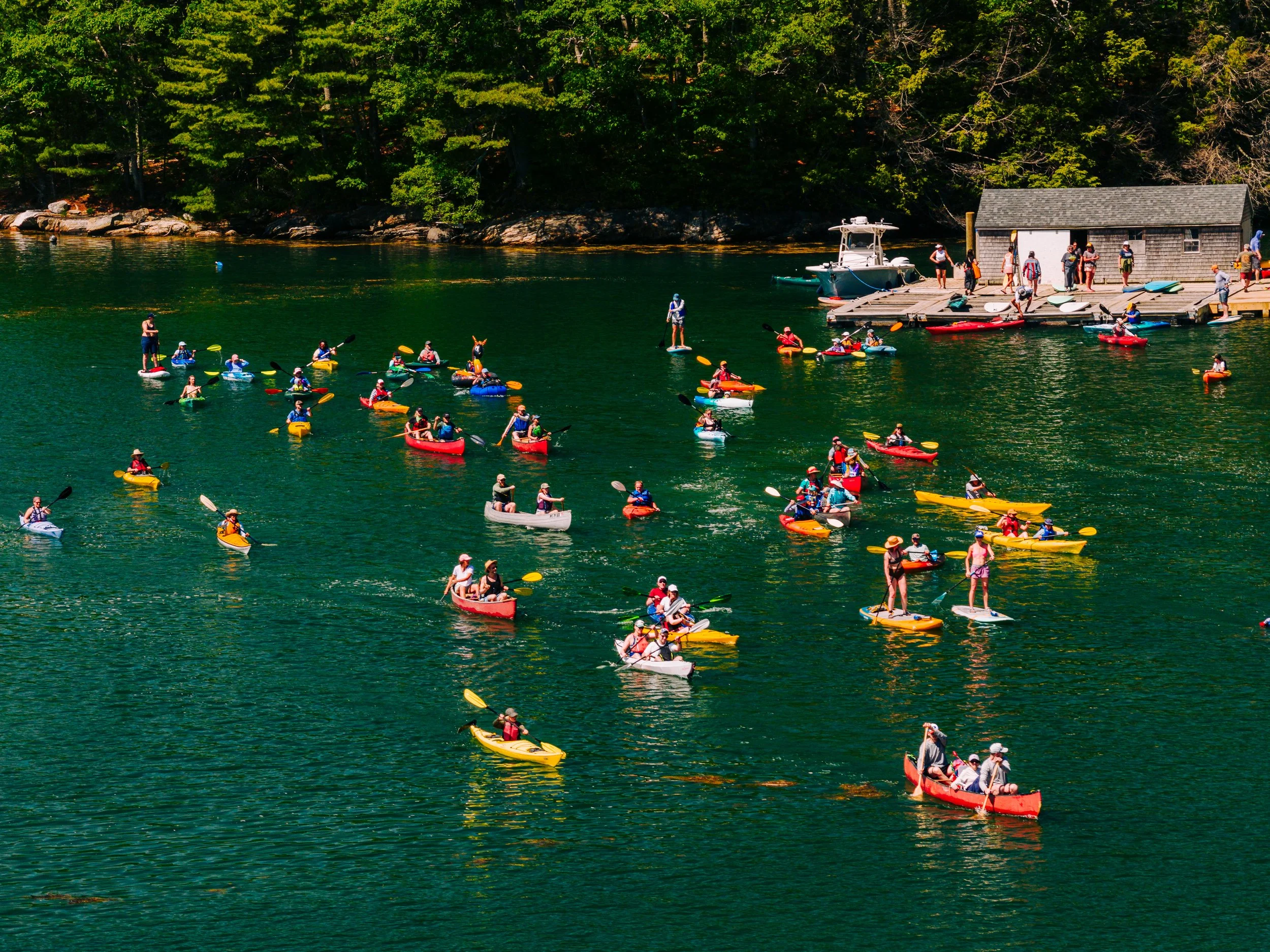 HeartyRoots-PaddleforAPurpose2026-MatTrogner-36.jpg