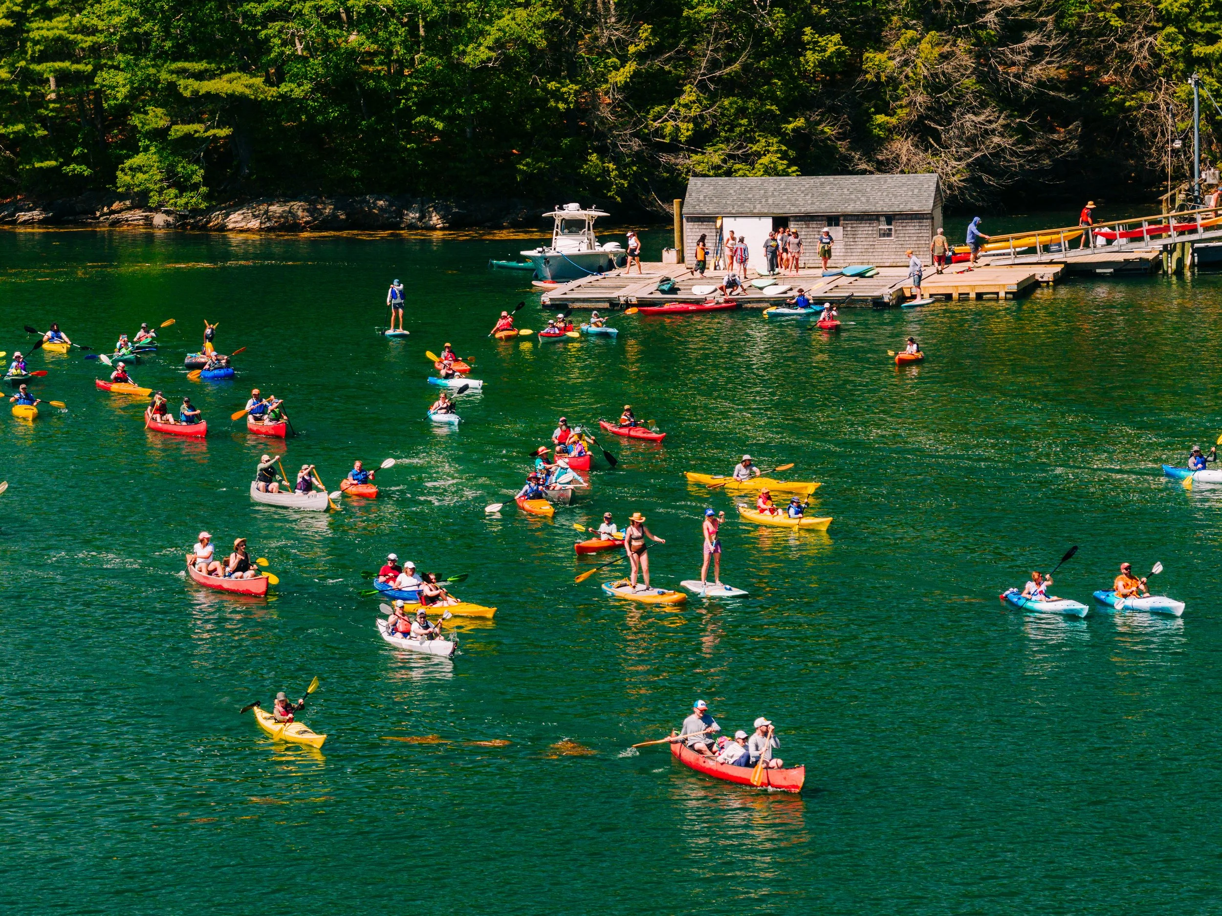 HeartyRoots-PaddleforAPurpose2026-MatTrogner-37.jpg