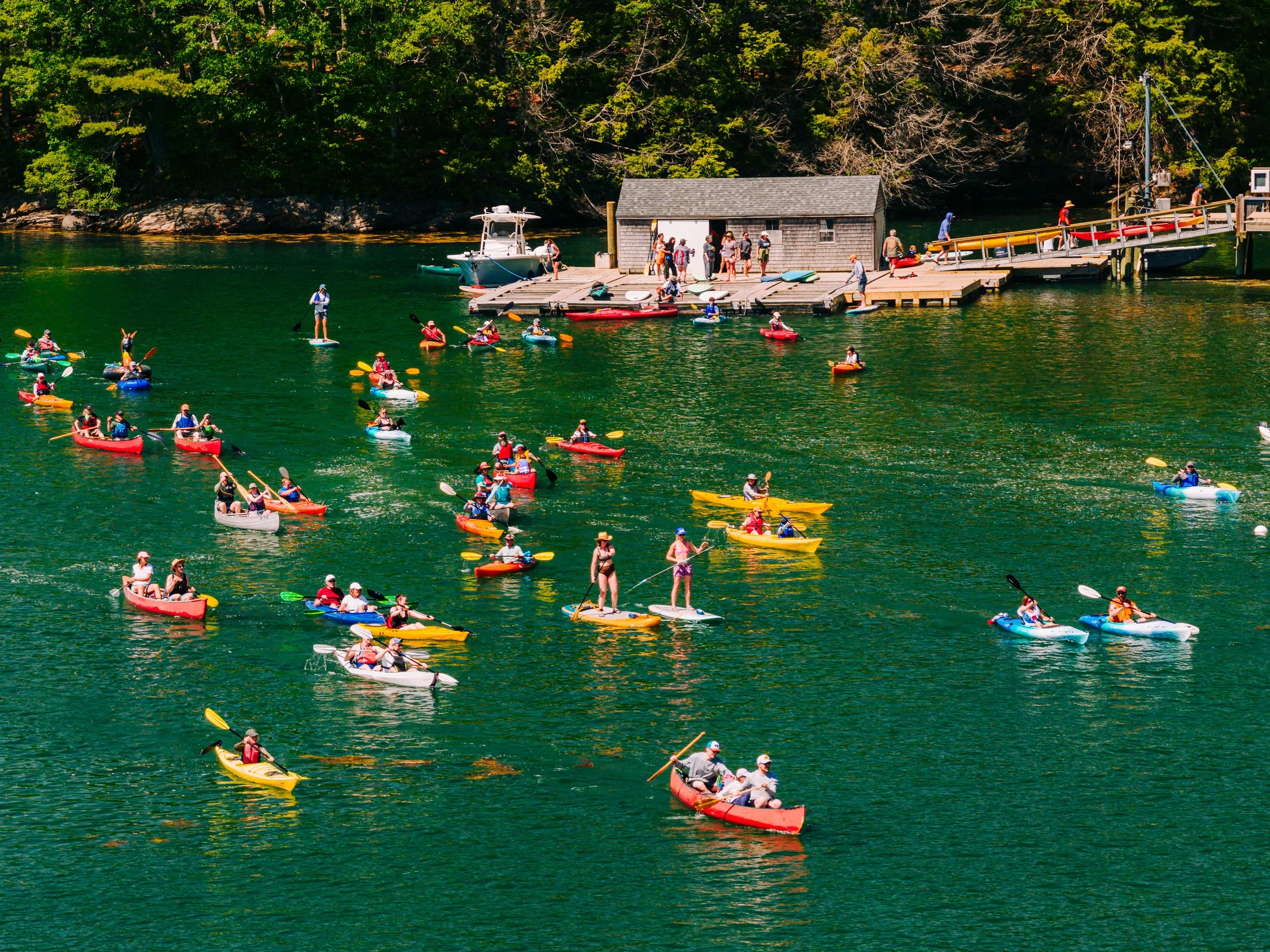 HeartyRoots-PaddleforAPurpose2026-MatTrogner-38.jpg