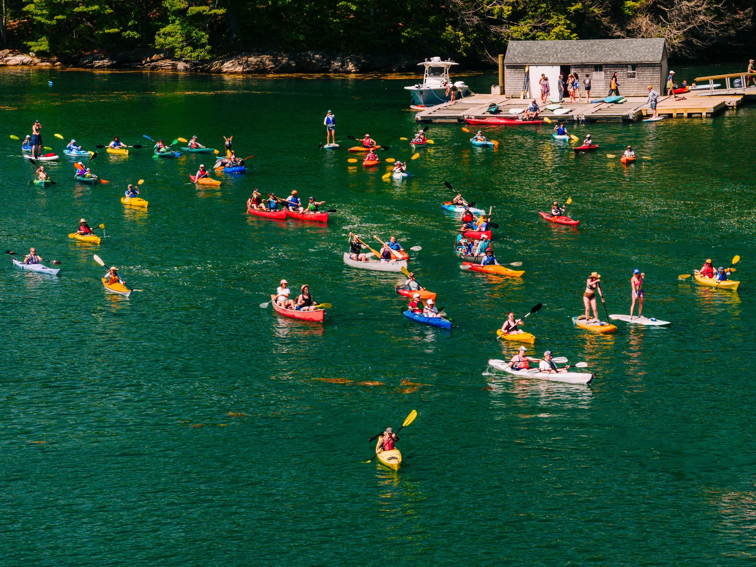 HeartyRoots-PaddleforAPurpose2026-MatTrogner-40.jpg