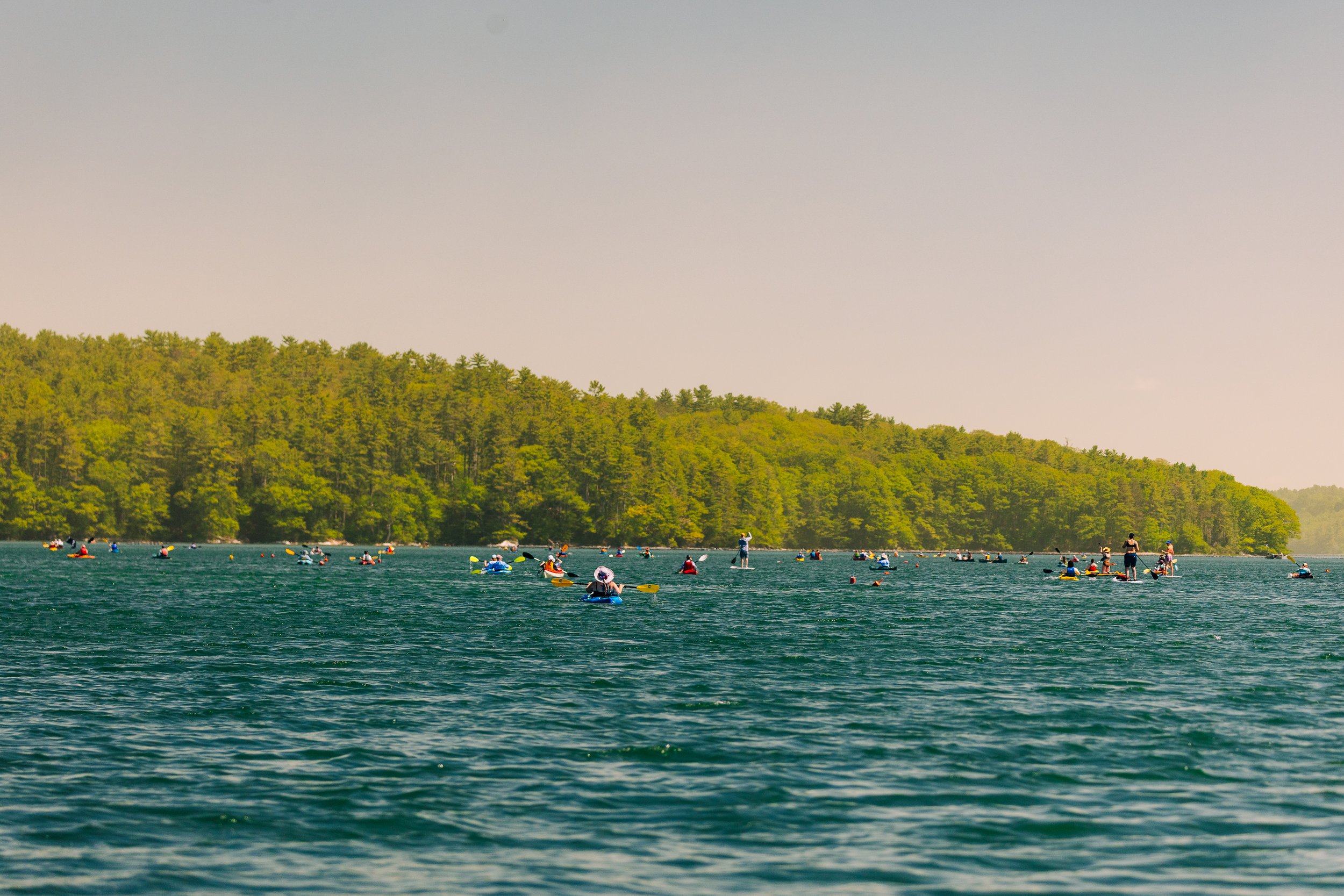 HeartyRoots-PaddleforAPurpose2026-MatTrogner-52.jpg