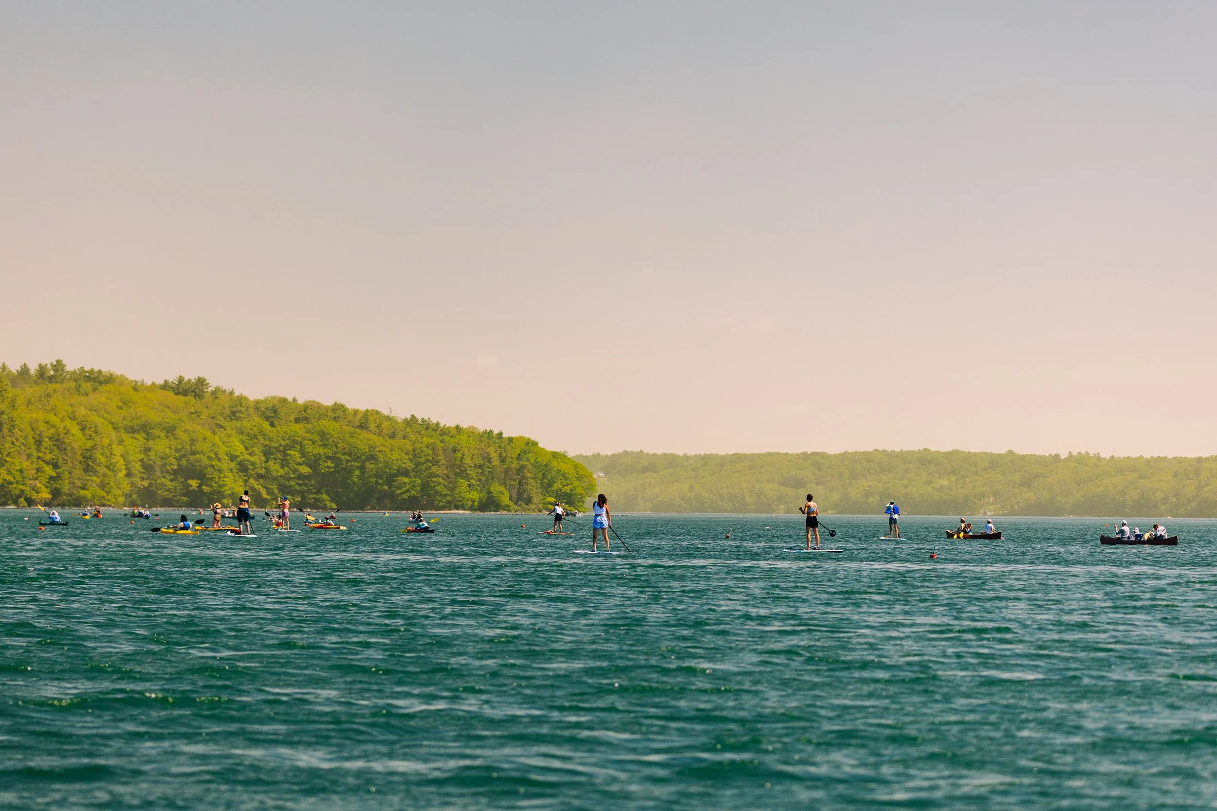 HeartyRoots-PaddleforAPurpose2026-MatTrogner-53.jpg