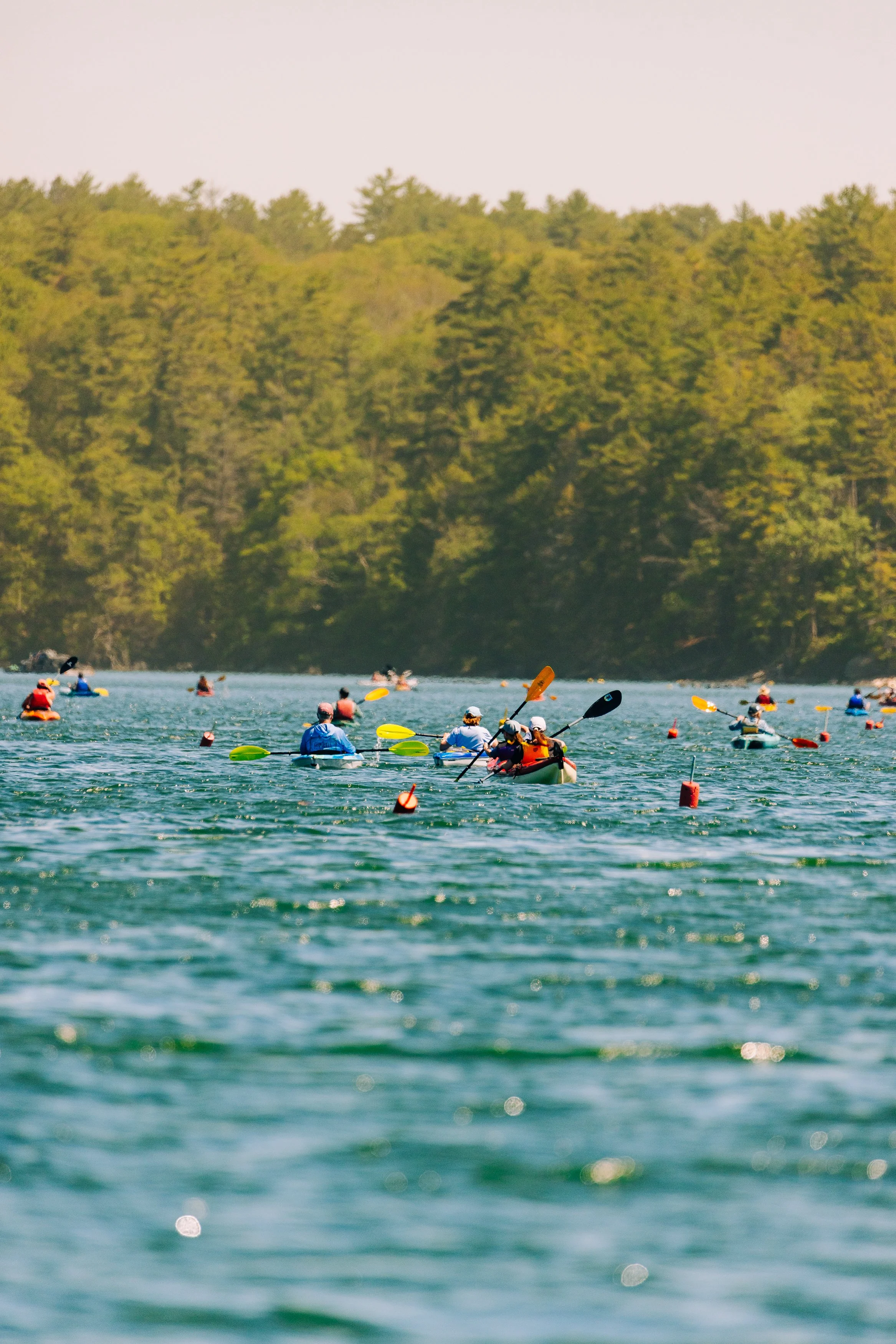HeartyRoots-PaddleforAPurpose2026-MatTrogner-55.jpg