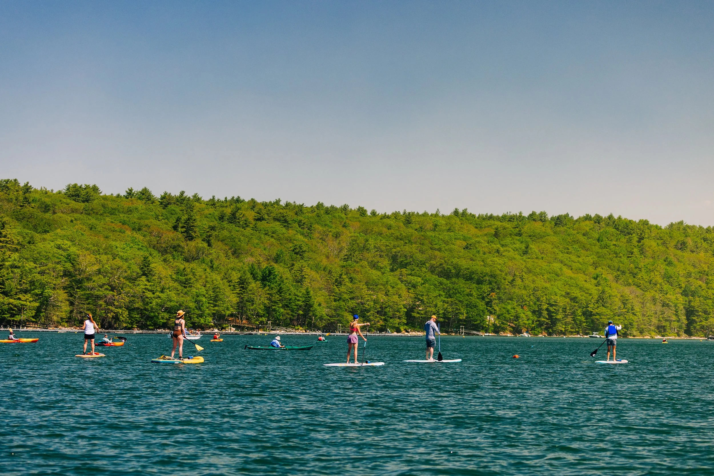HeartyRoots-PaddleforAPurpose2026-MatTrogner-62.jpg