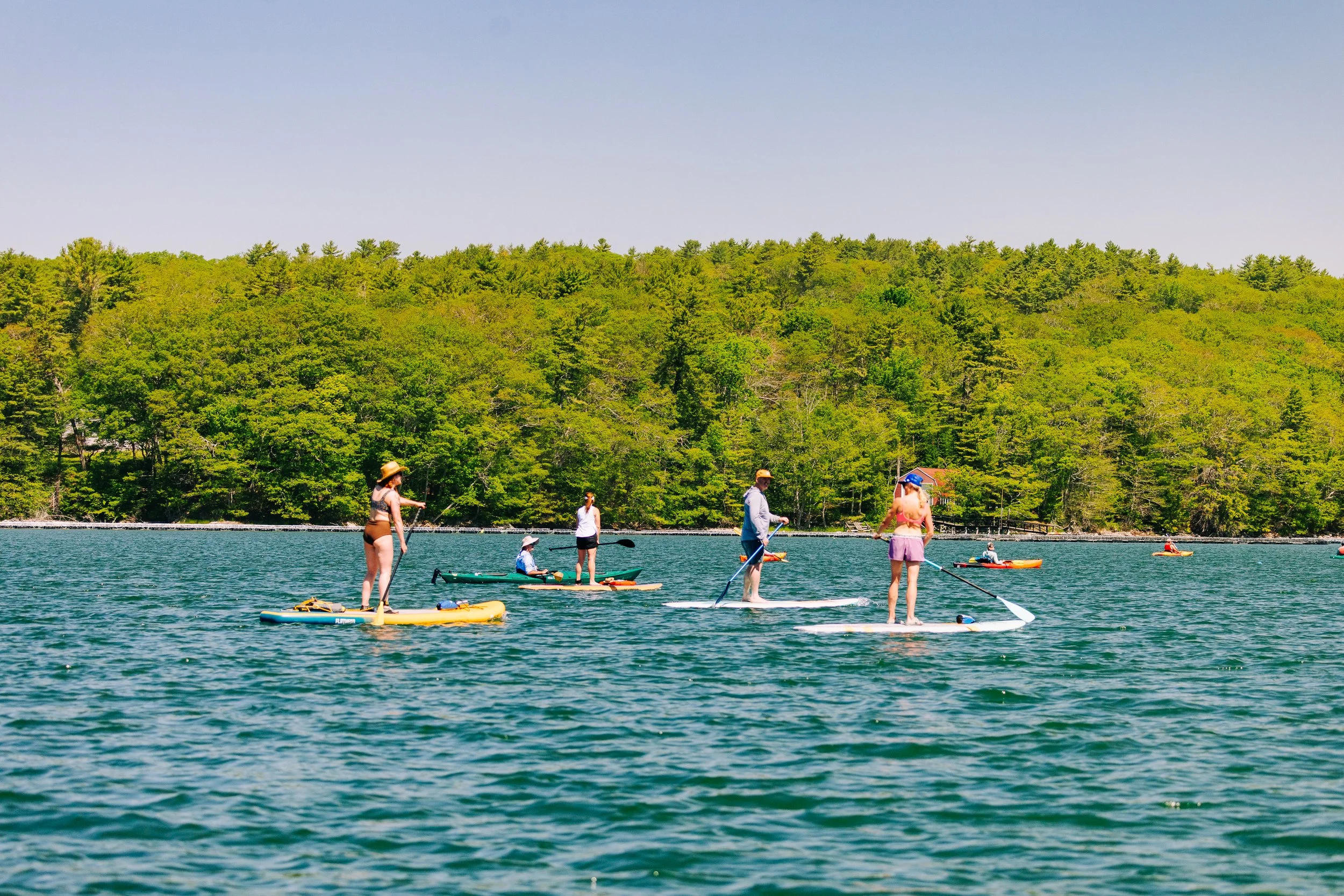 HeartyRoots-PaddleforAPurpose2026-MatTrogner-64.jpg
