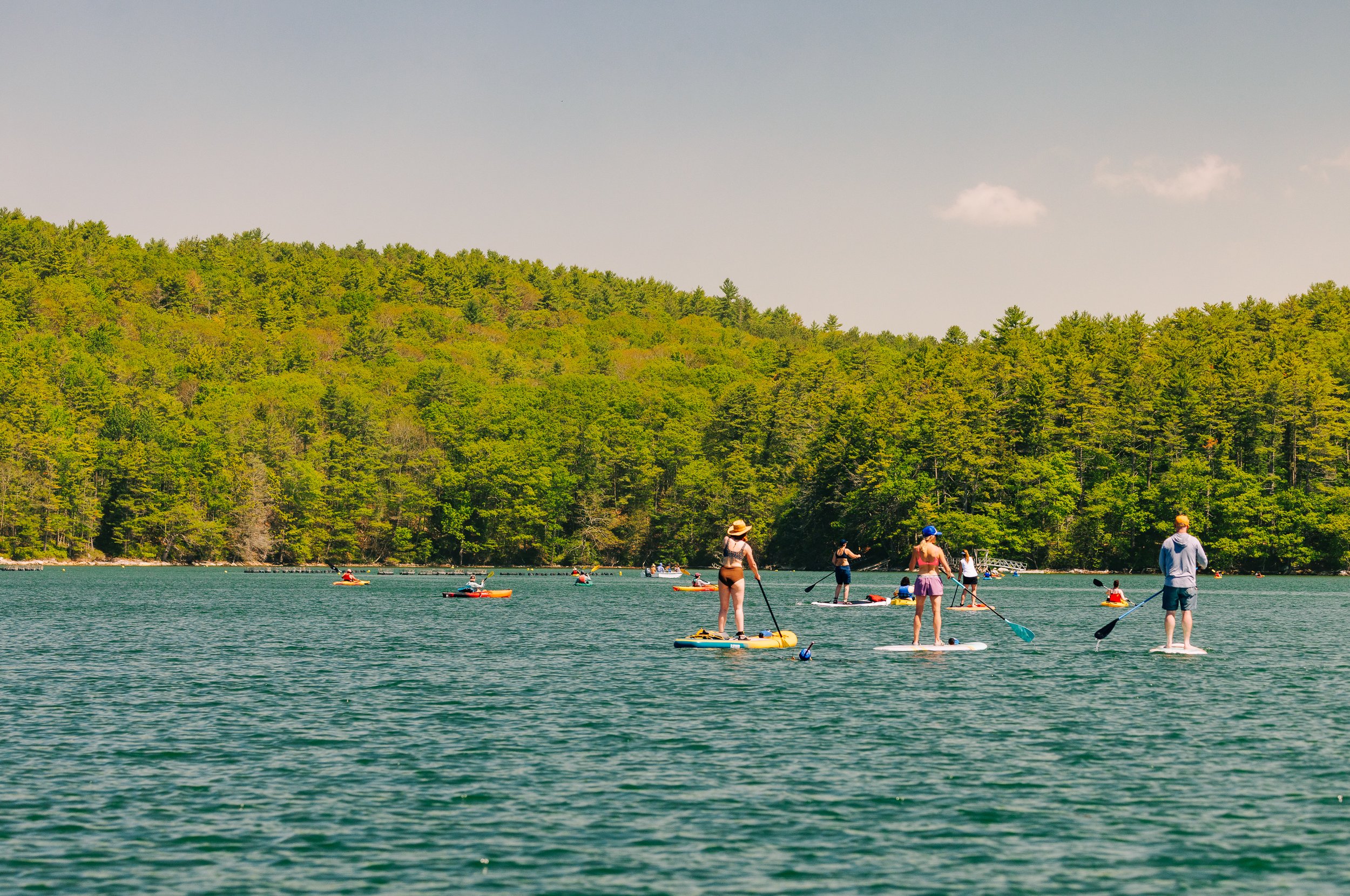 HeartyRoots-PaddleforAPurpose2026-MatTrogner-76.jpg