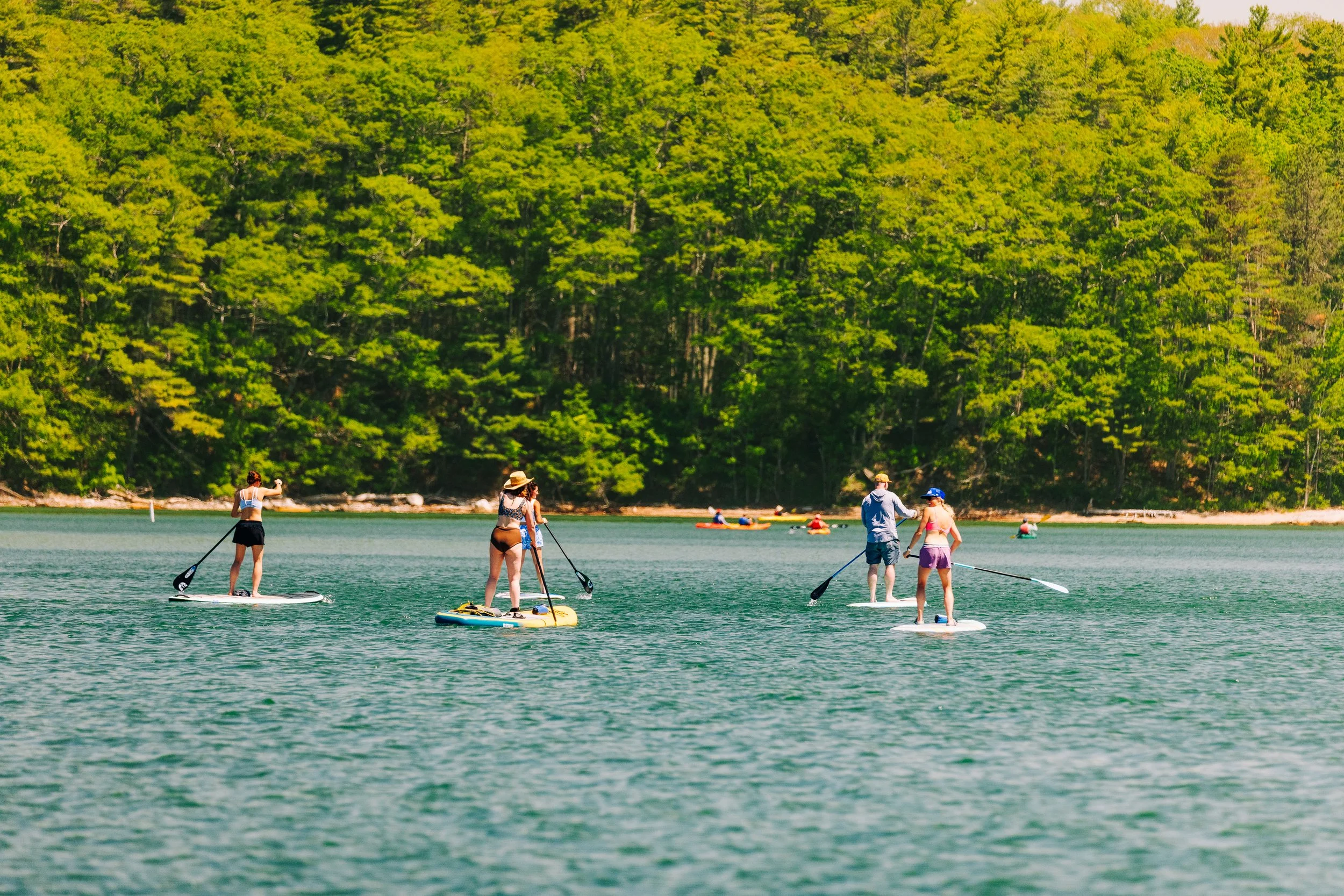 HeartyRoots-PaddleforAPurpose2026-MatTrogner-87.jpg