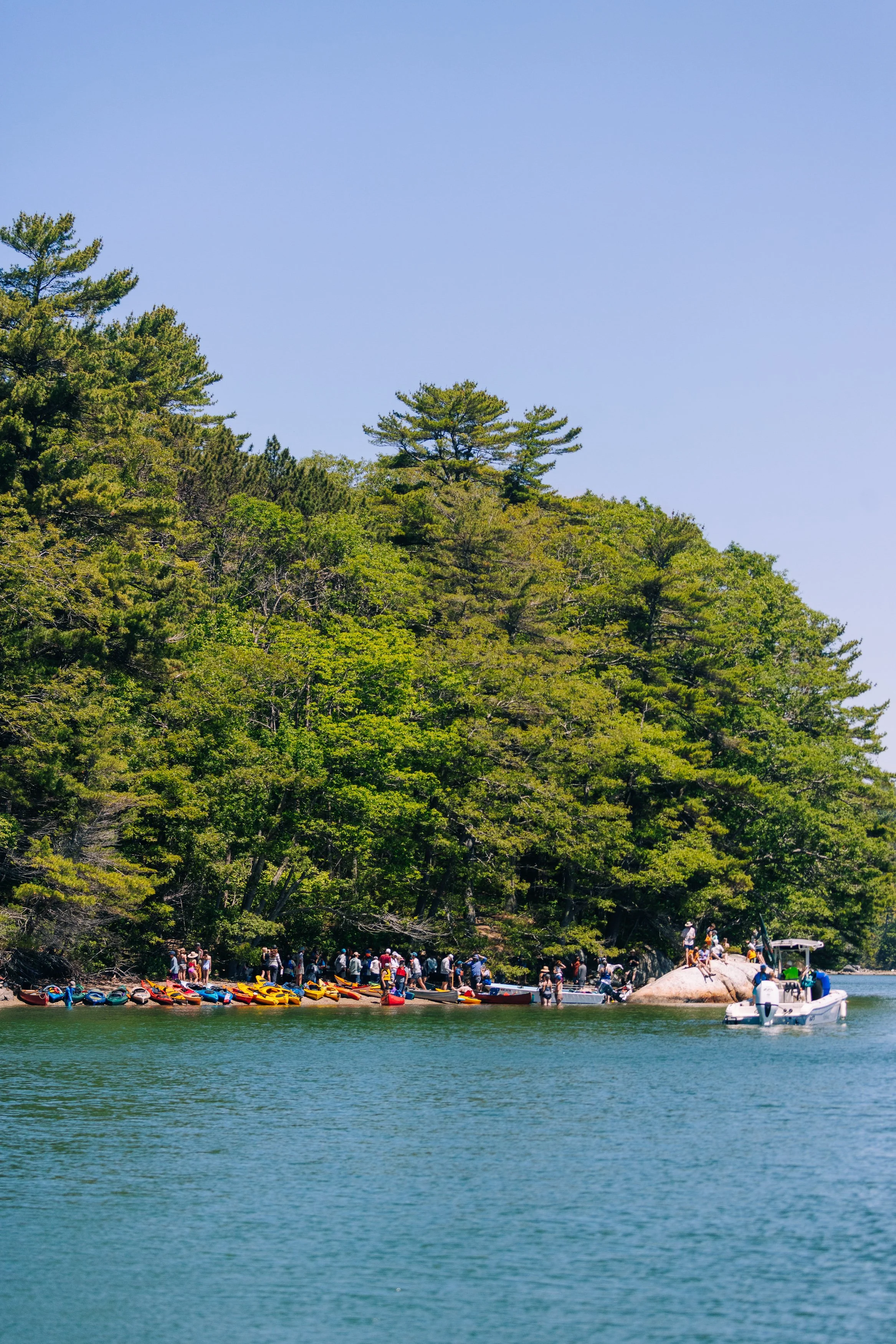 HeartyRoots-PaddleforAPurpose2026-MatTrogner-101.jpg
