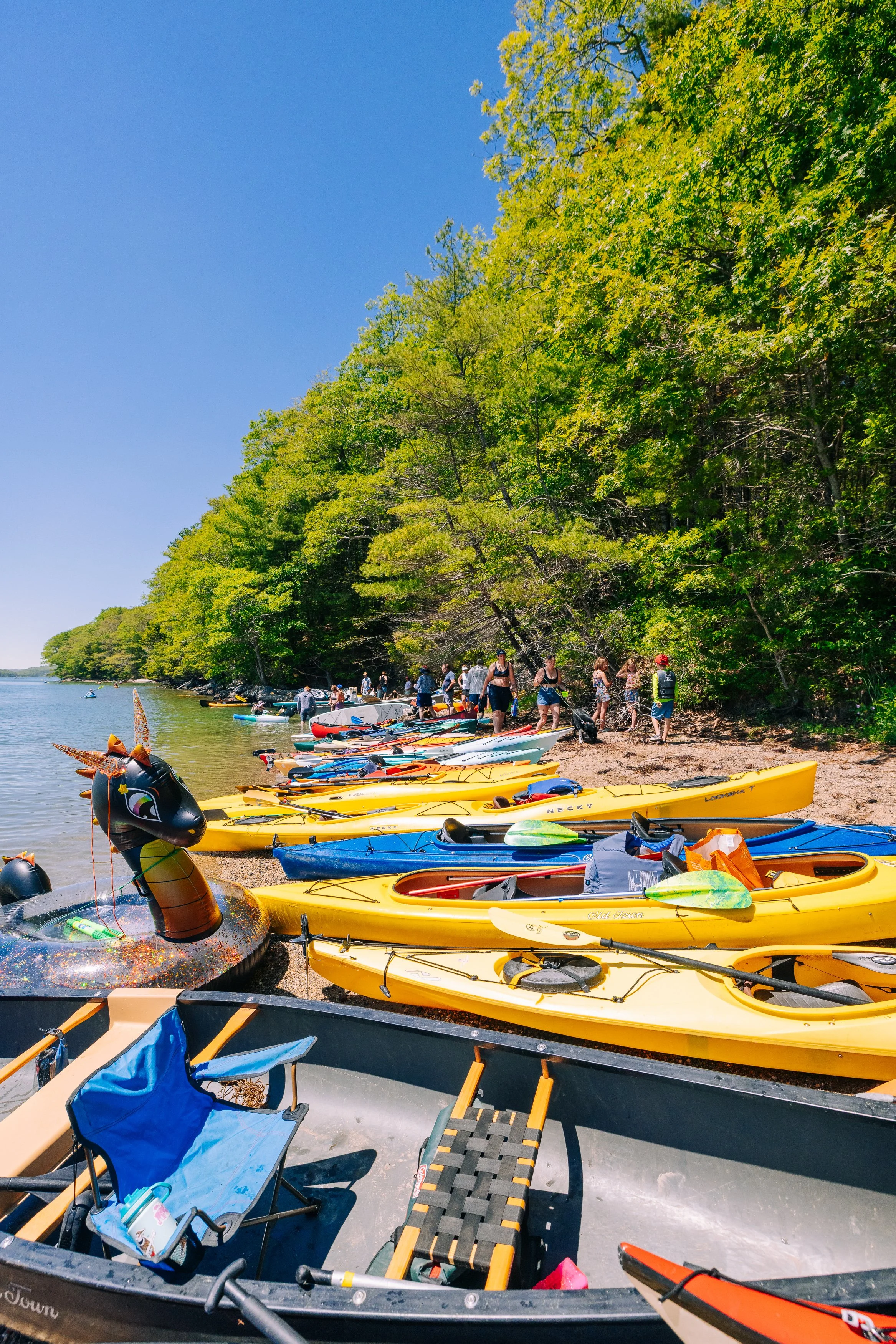 HeartyRoots-PaddleforAPurpose2026-MatTrogner-109.jpg