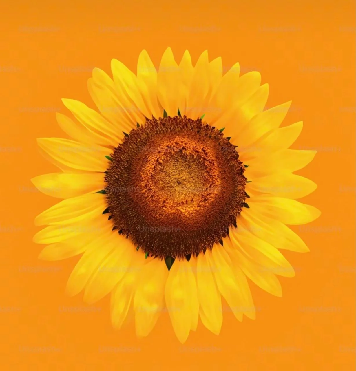 I&rsquo;m thrilled to share that I am joining @wellspringhouse as Director of Development and Community Relations. With a longstanding connection to Wellspring&rsquo;s mission, this opportunity feels especially meaningful.

I&rsquo;ve always believed