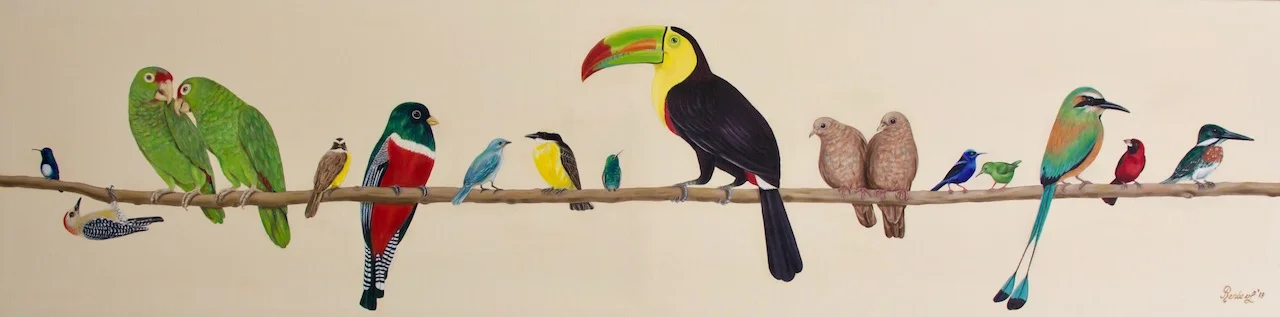 Conferencia de los pájaros