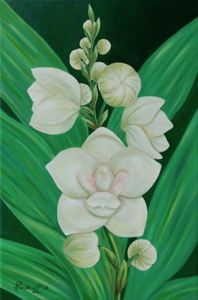 Flor del Espíritu Santo