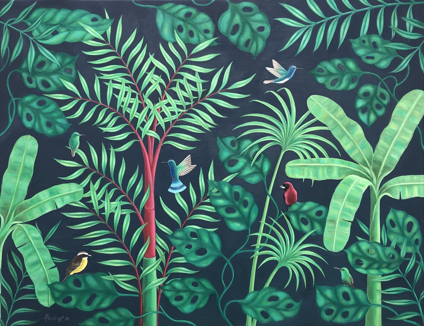 Panama Jungle