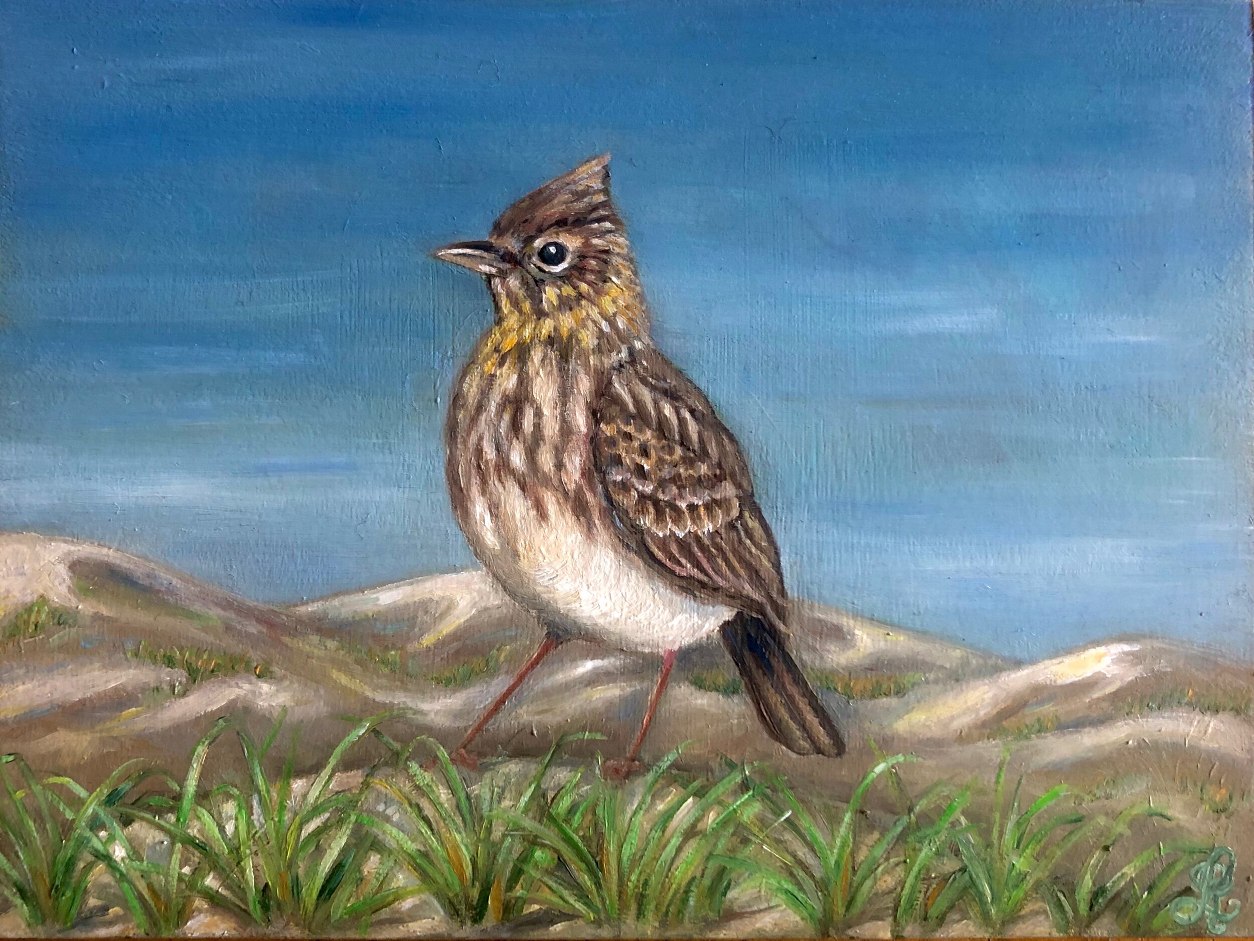 De Leeuwerik