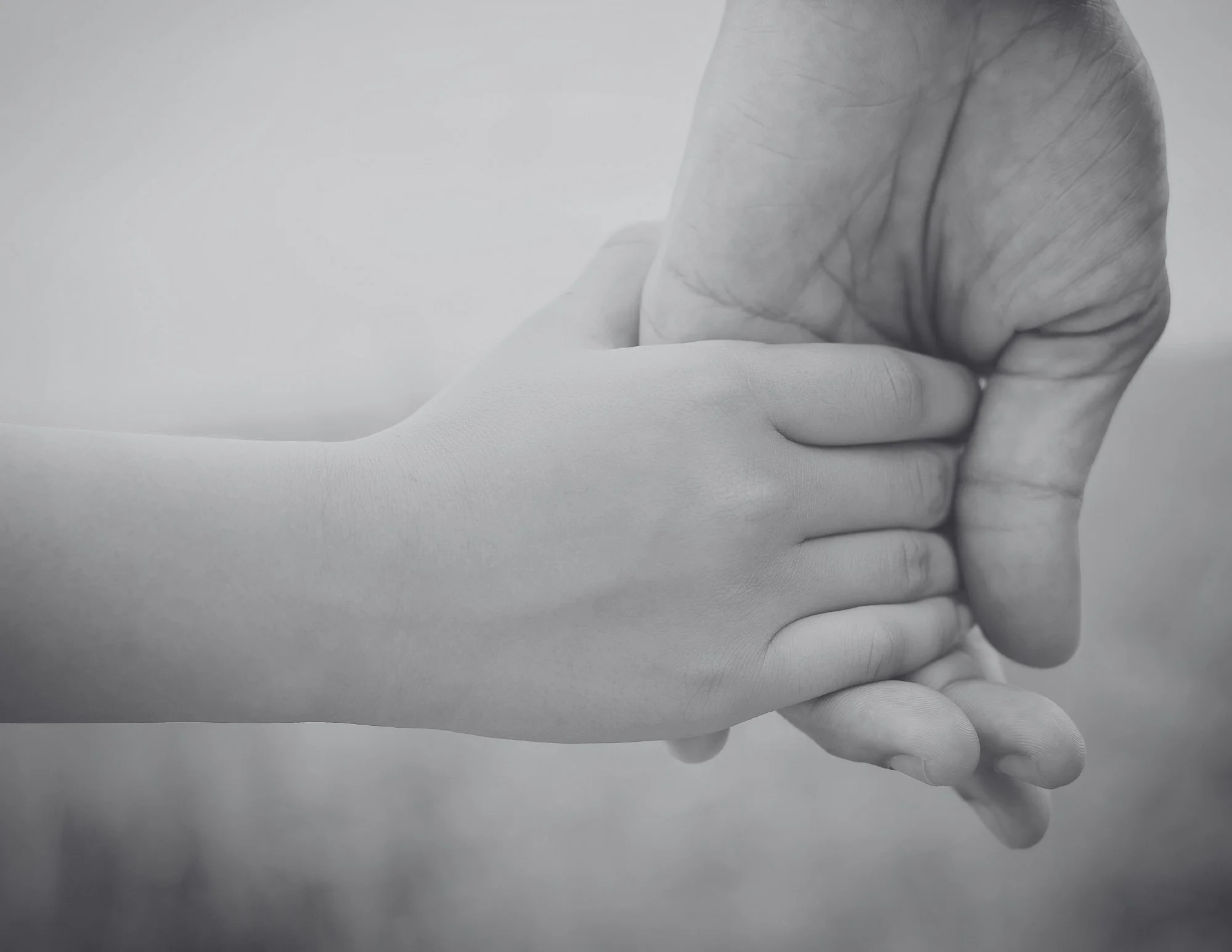 Untitled design (25).jpg