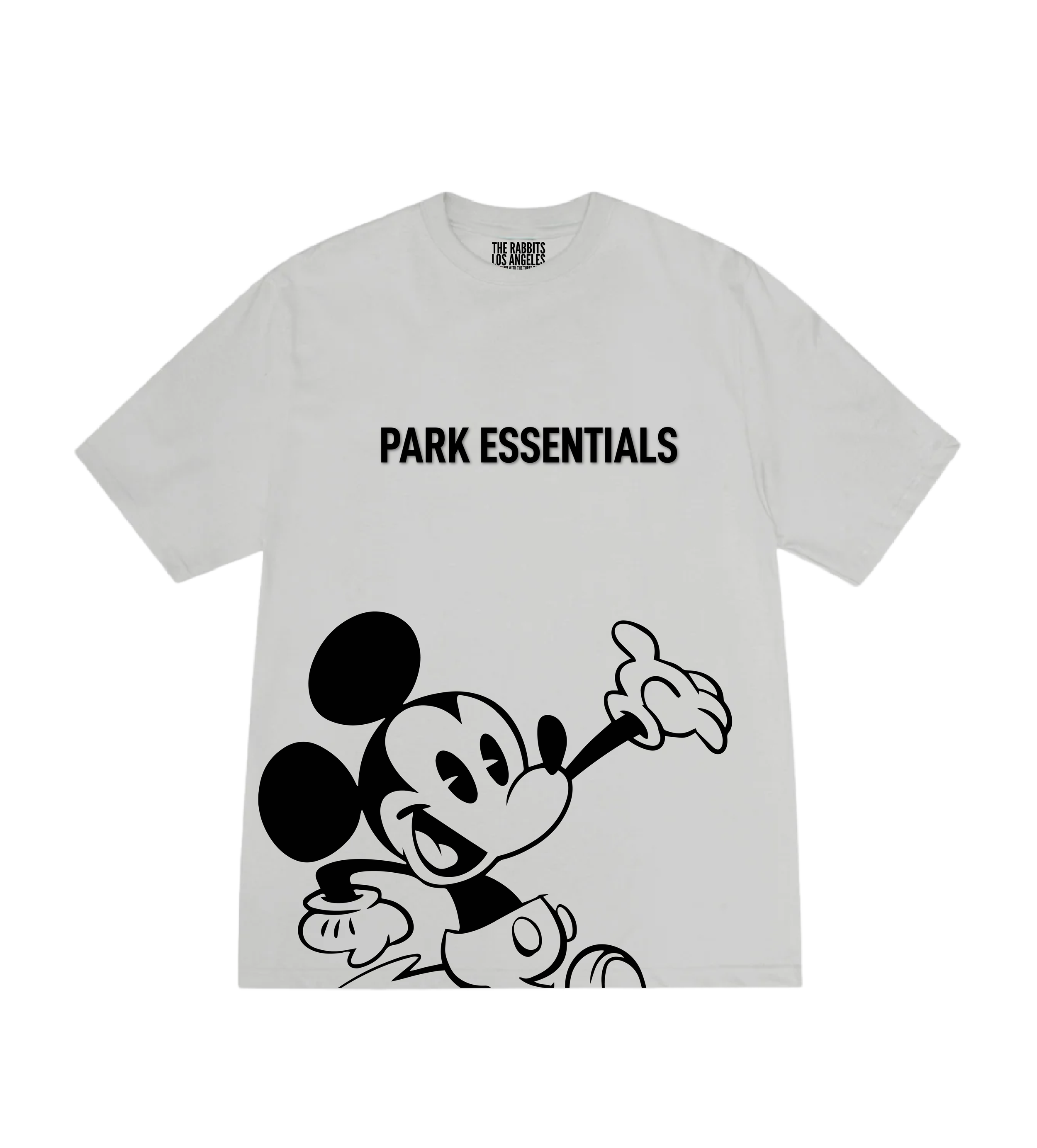 MICKEY-STONE.png
