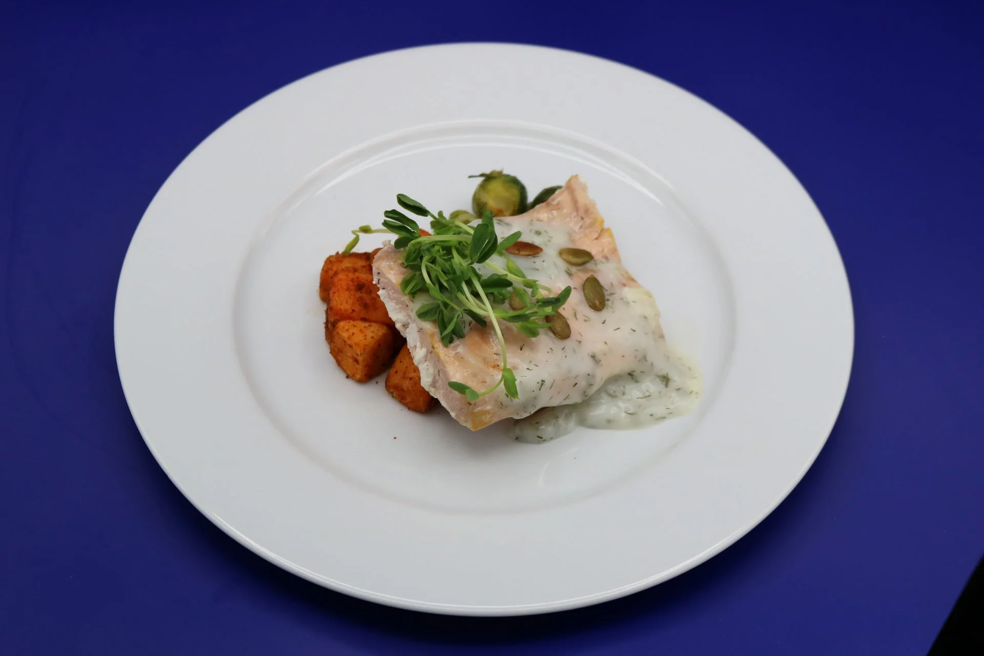 Steamed Salmon with Dill Sauce