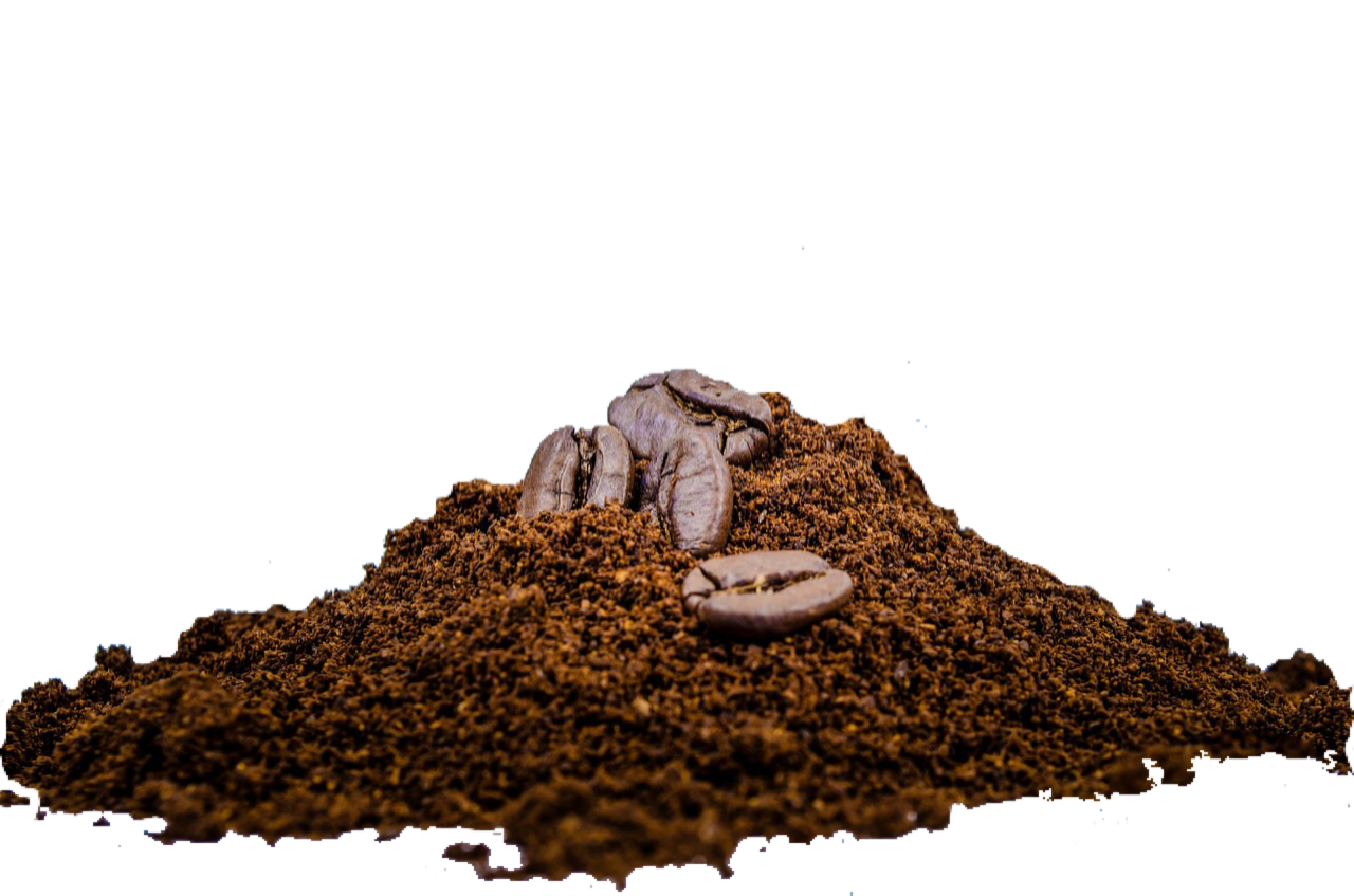 Exploring the Medium