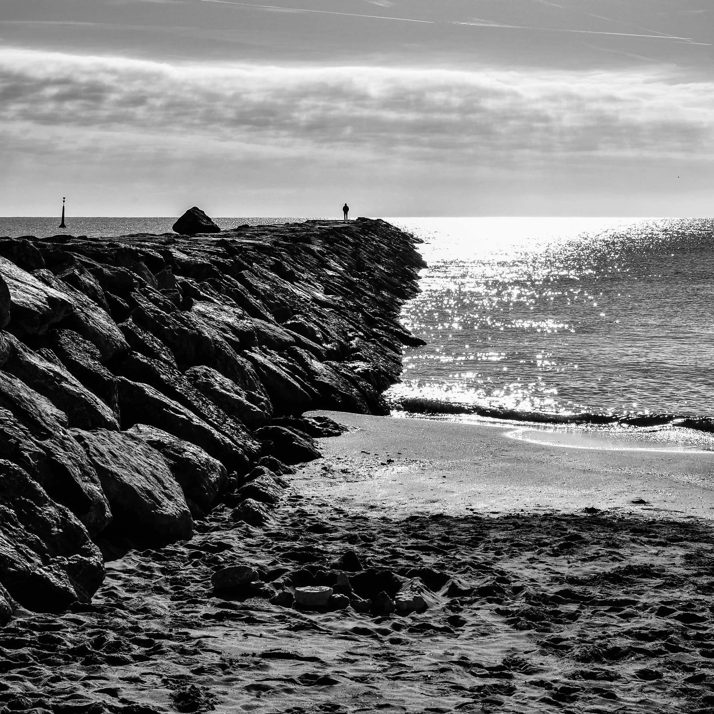 D50_9882.jpg