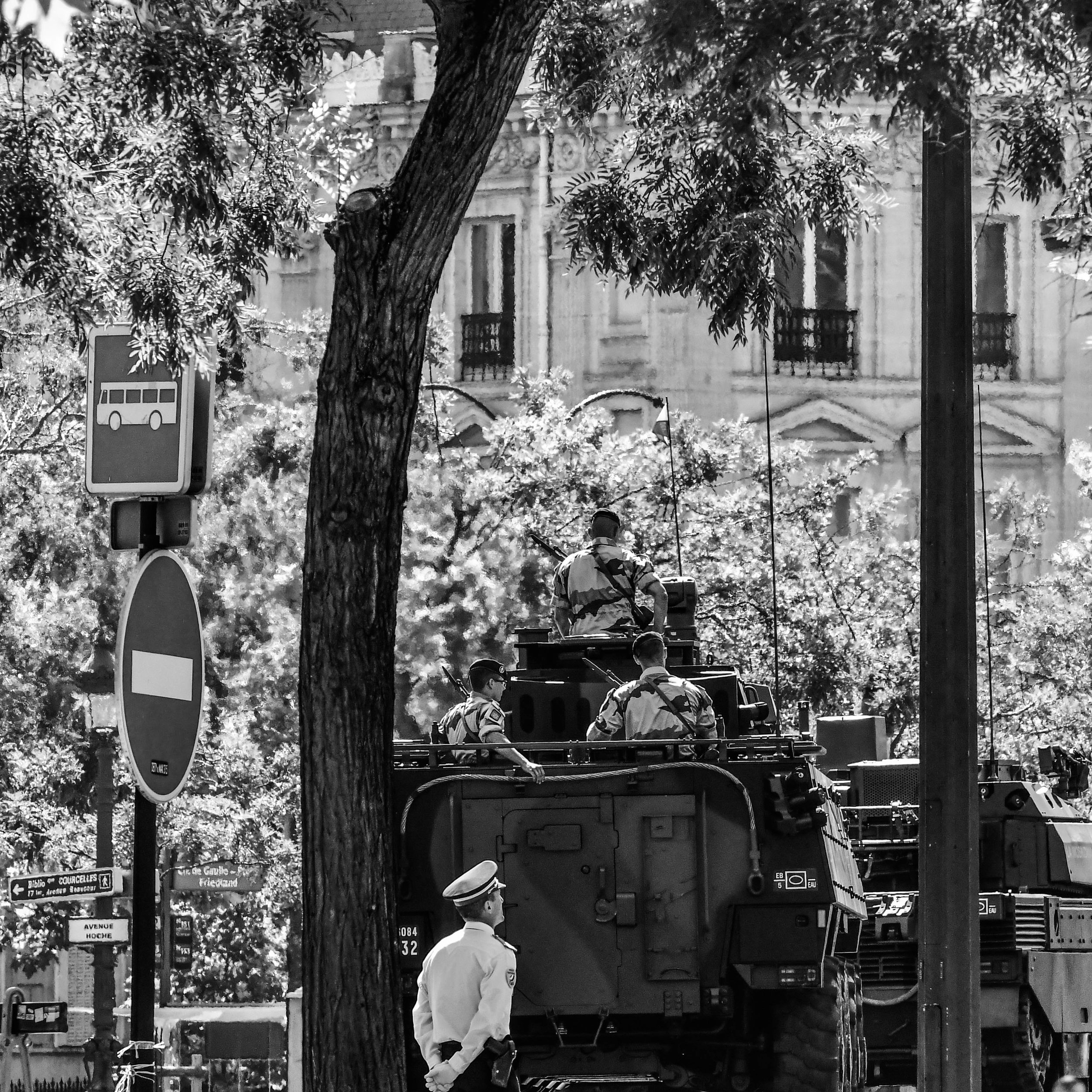 D50_2554.jpg