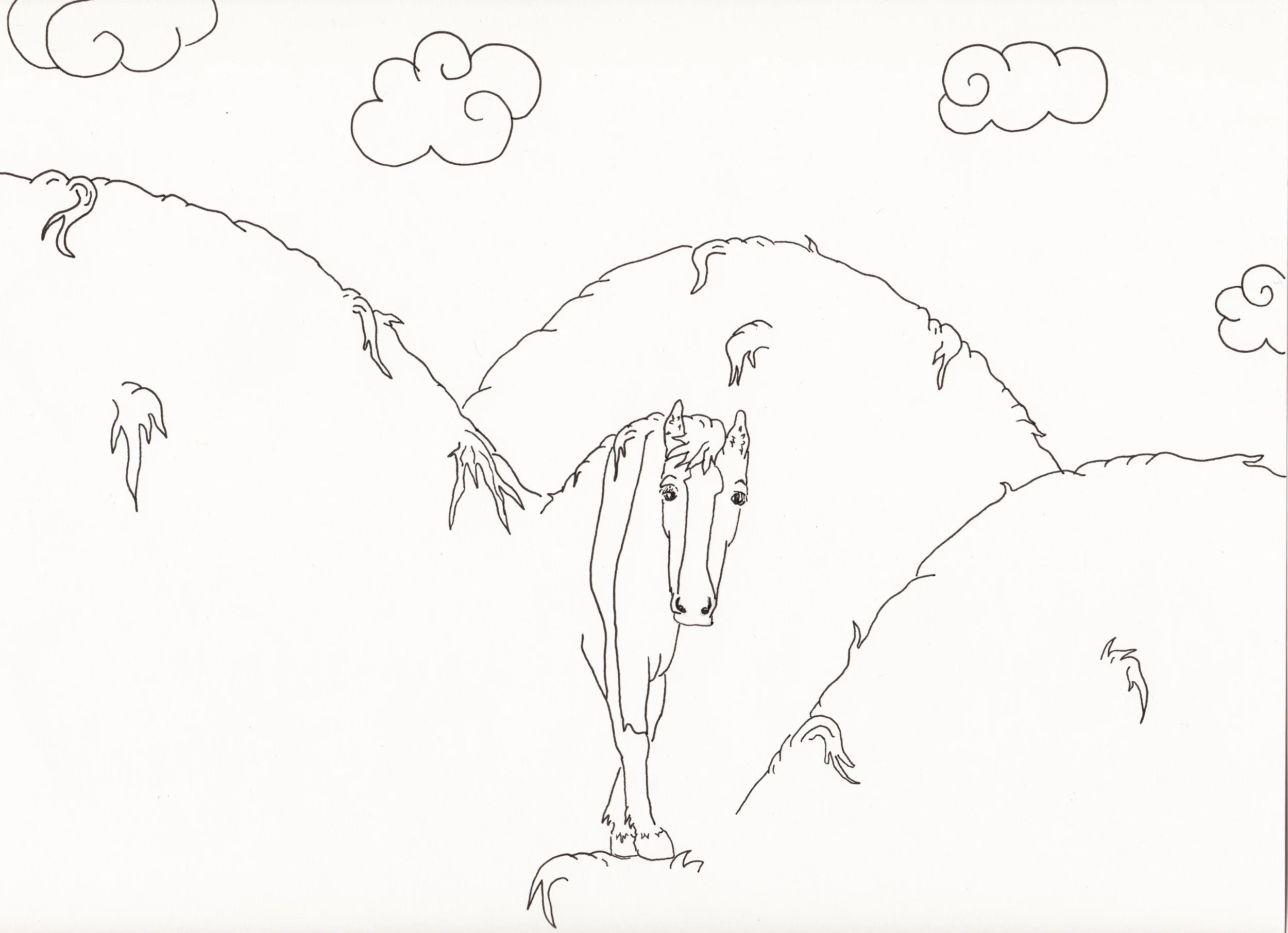 TAYLOR_MOUNTAIN copy.jpg