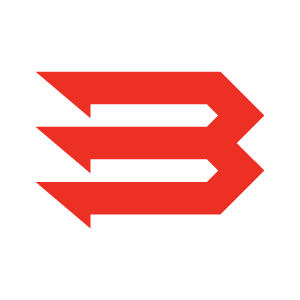 BrandWolfe_Logo_300x300.png