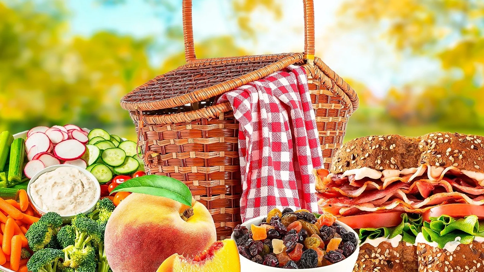 Church Picnic