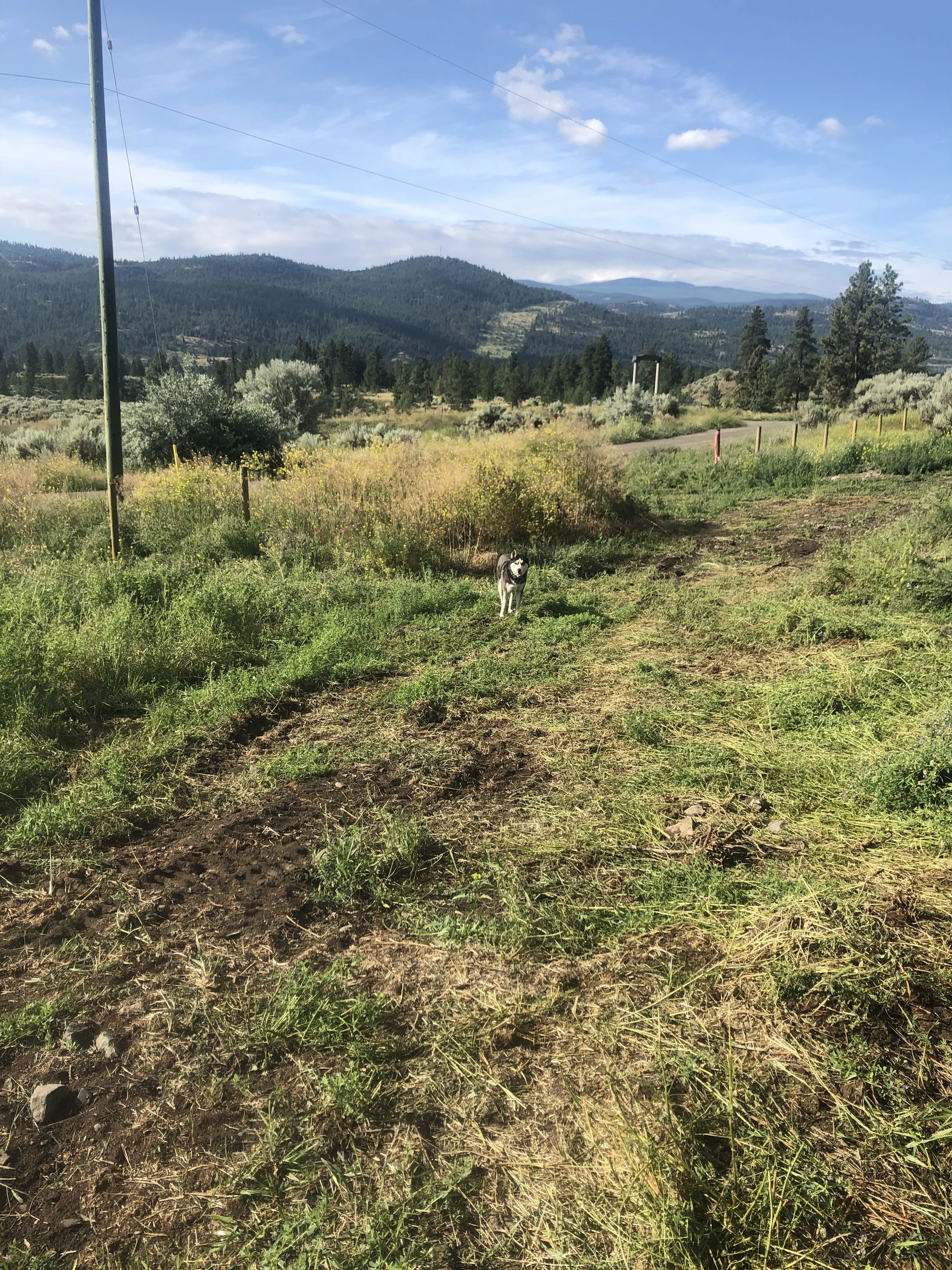 2019-07-10 08.44.45.jpg