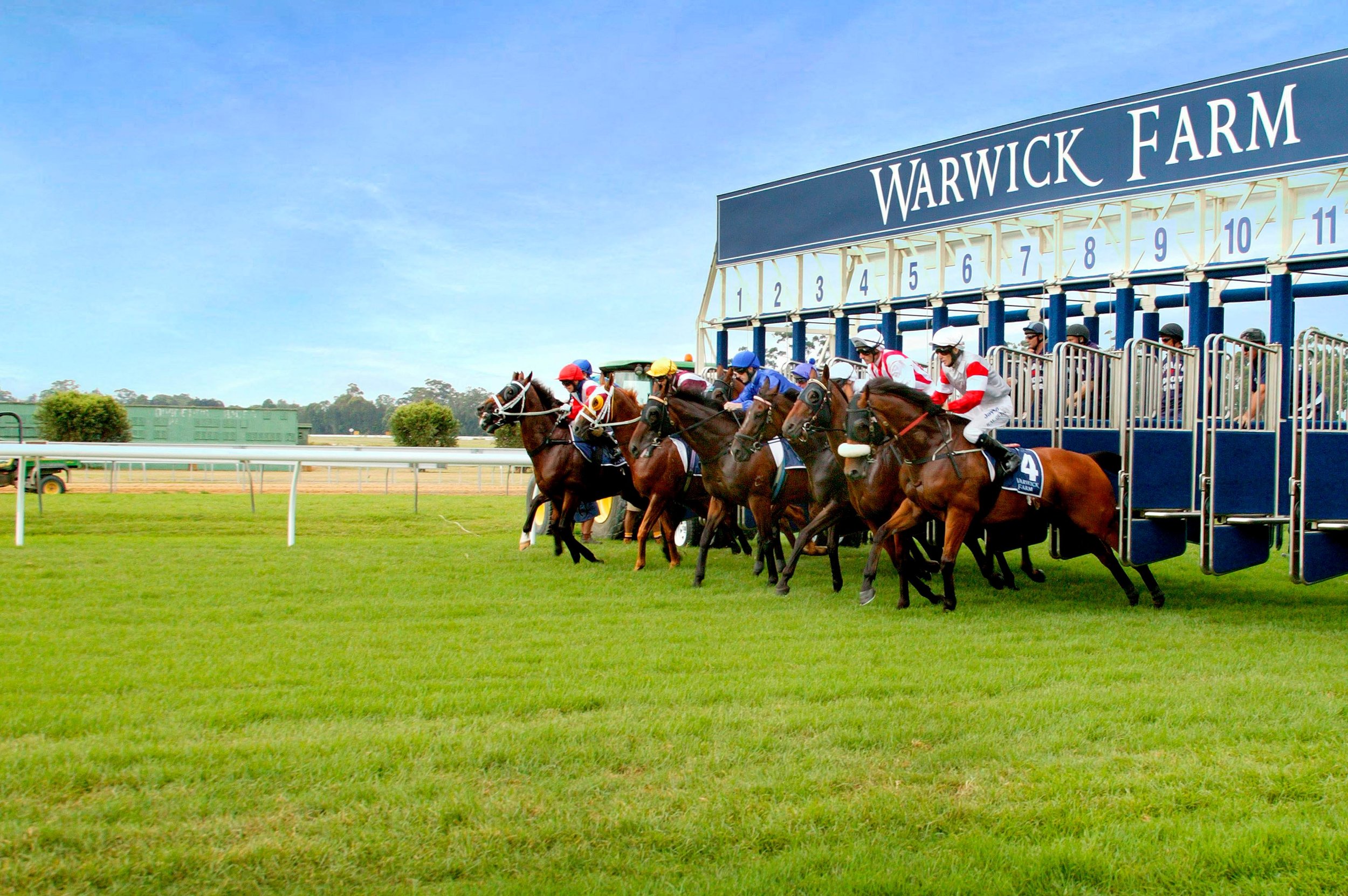 warwick-farm-racecourse-5a83bca1ceb93d352a521a9f.jpeg
