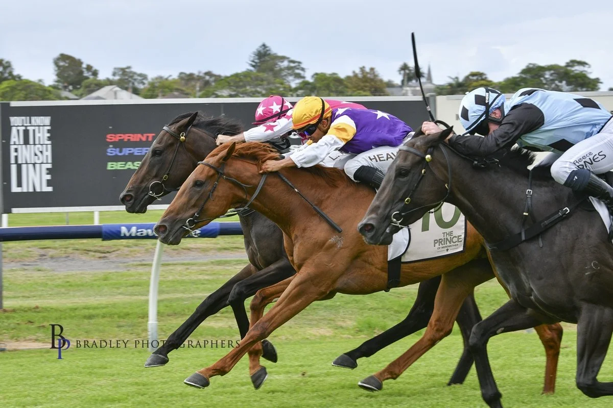 SMART CRY IMPRESSES AT NEWCASTLE