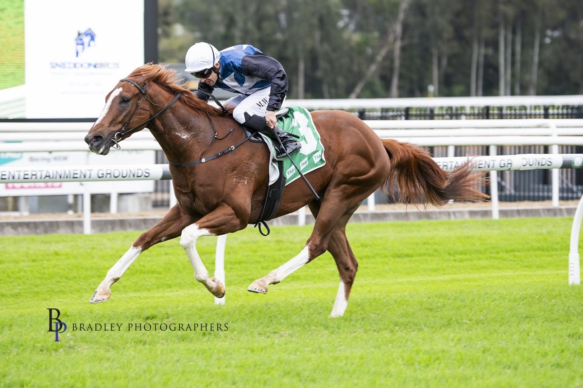ANOTHER WIN FOR DON’T WHAT ME AT GOSFORD