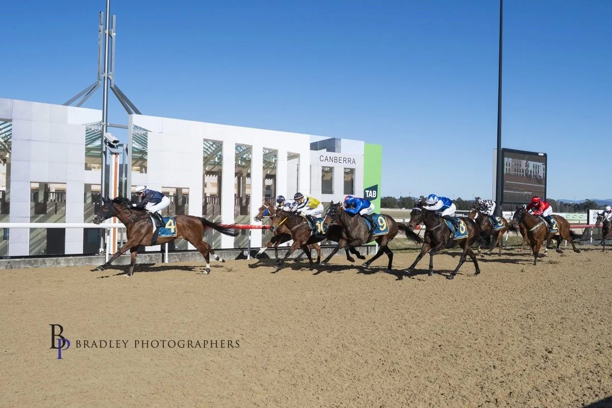 TERRA LUMINA TOO SHARP AT CANBERRA