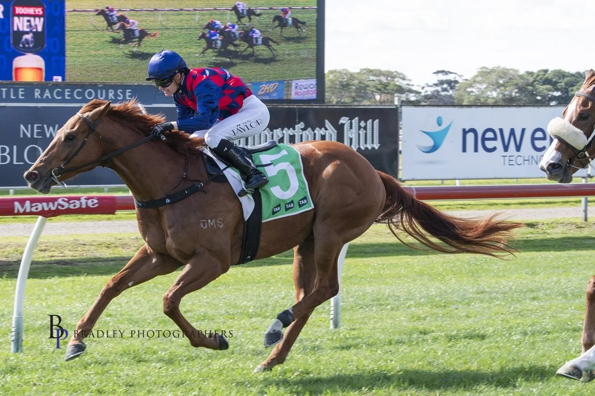 KARKADAAN SALUTES ON DEBUT AT NEWCASTLE