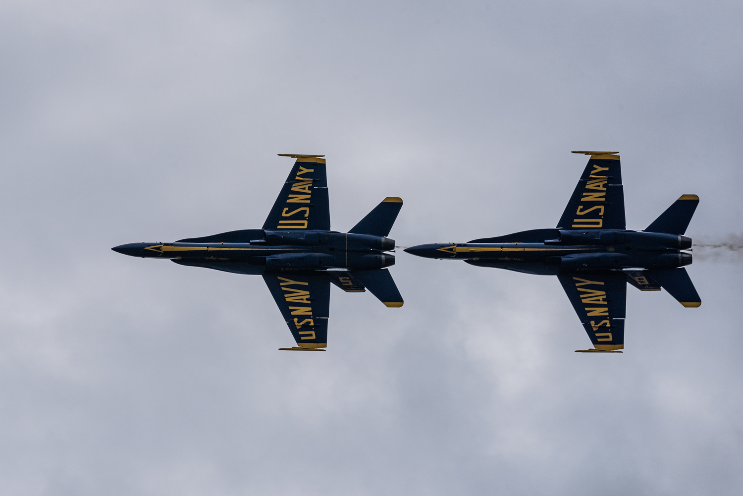 DSC_4624.jpg