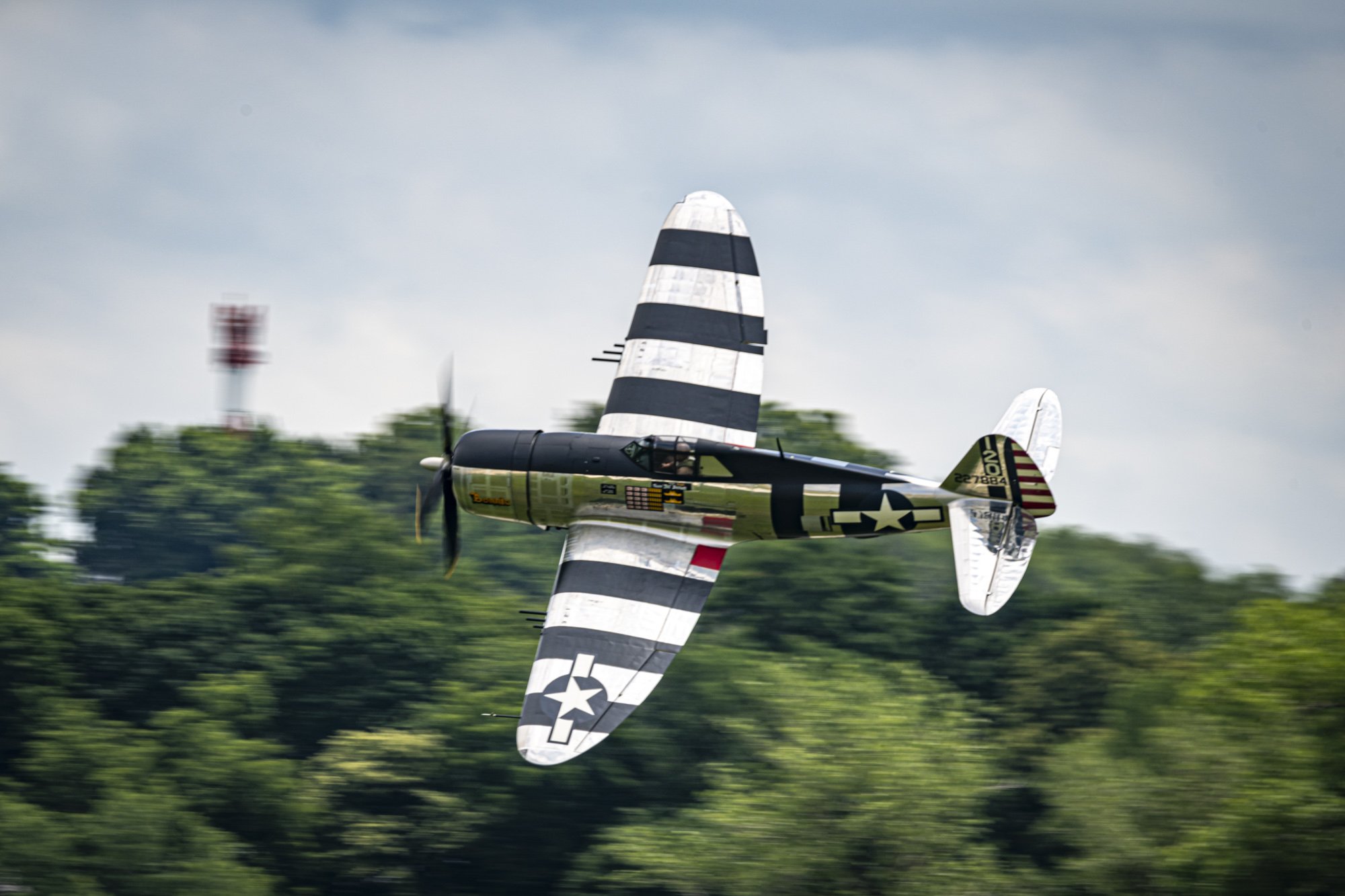 DSC_8442.jpg