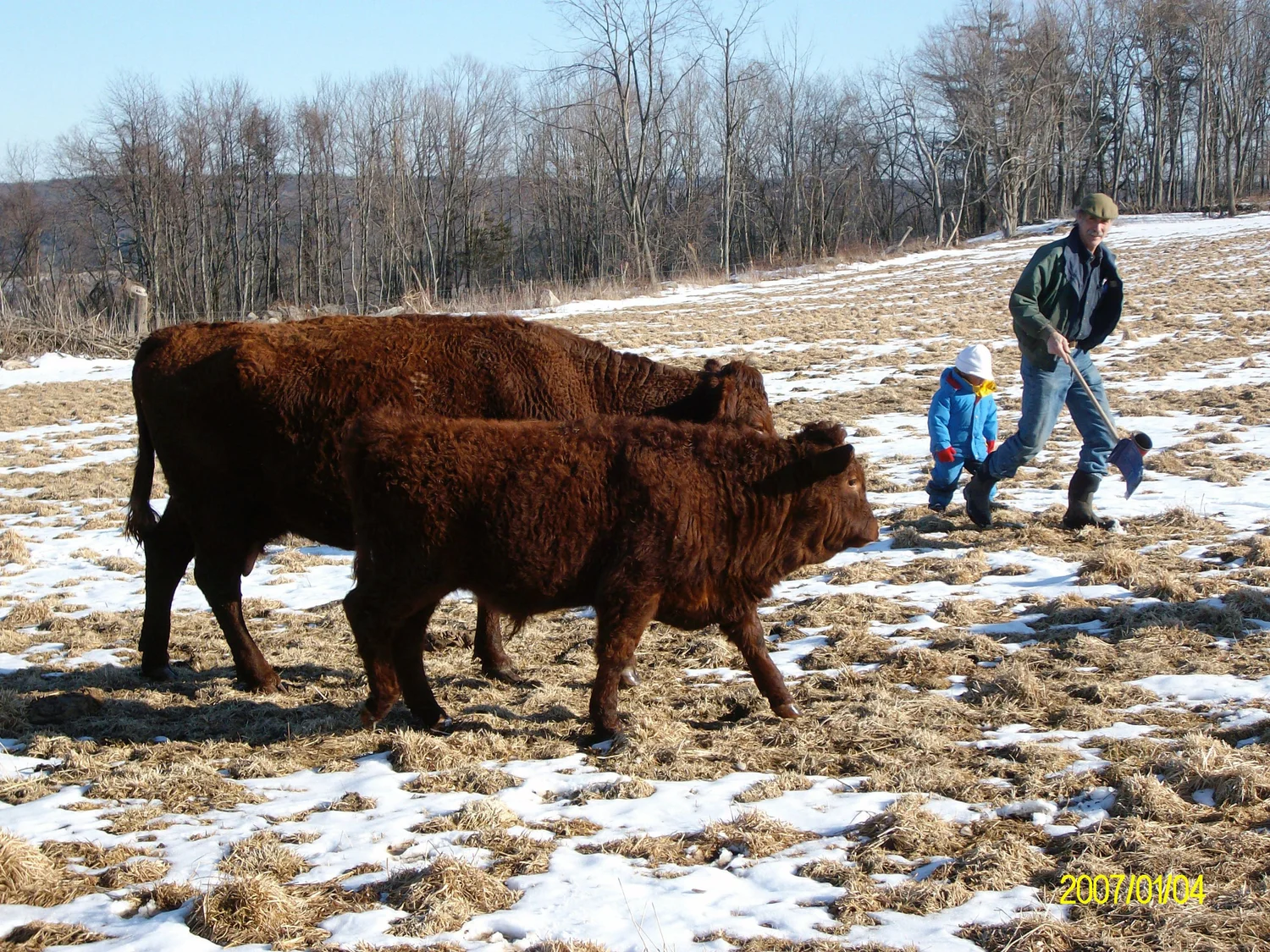 Humane Livestock Handling