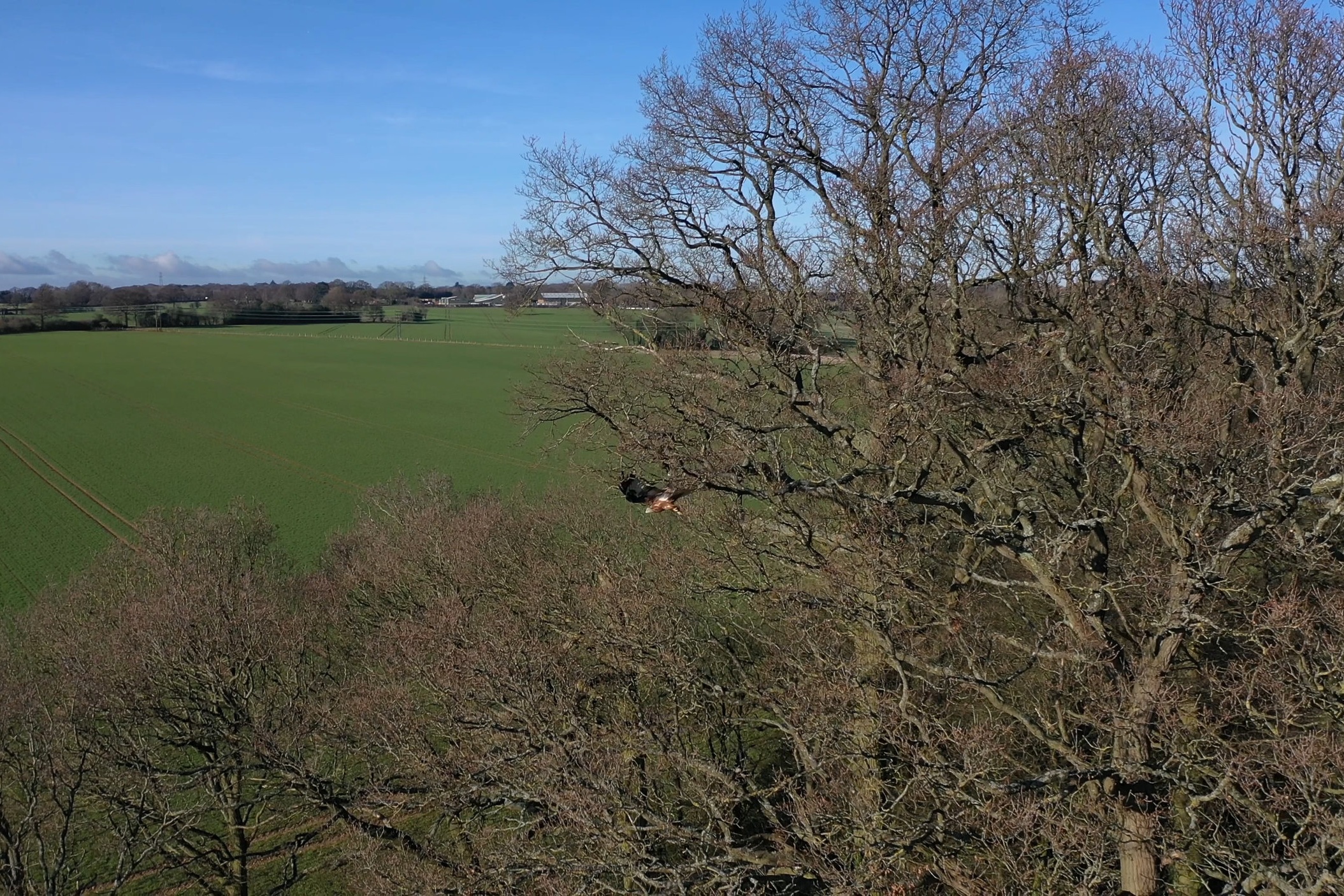 DJI_0077_Trim.mp4.00_00_06_11.Still001.jpg