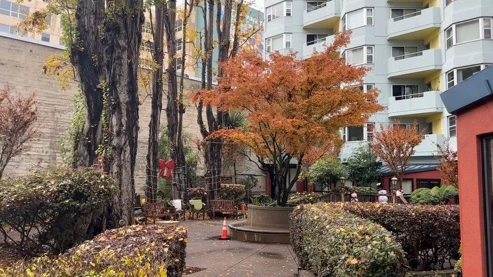 San Francisco&rsquo;s South of Market Neighborhood | Wednesday December 17th, 2025

#TODCO #SanFrancisco #SOMA #Neighborhood #California