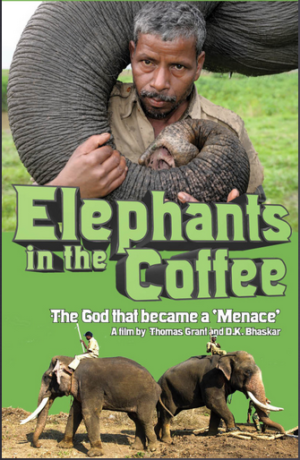 ElephantsinCoffeeFilm-e1520575085426.png