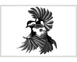 25.png