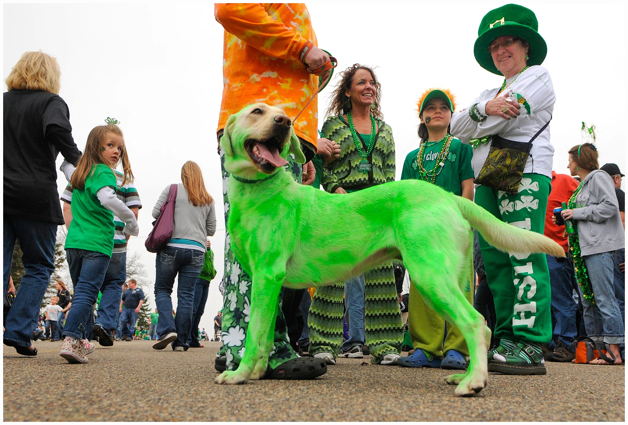 MNA JW Feature 1.jpg