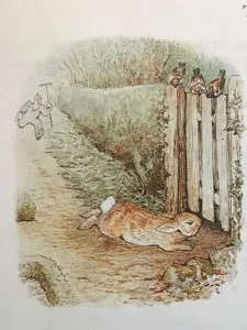 peter-rabbit2-225x300.jpg