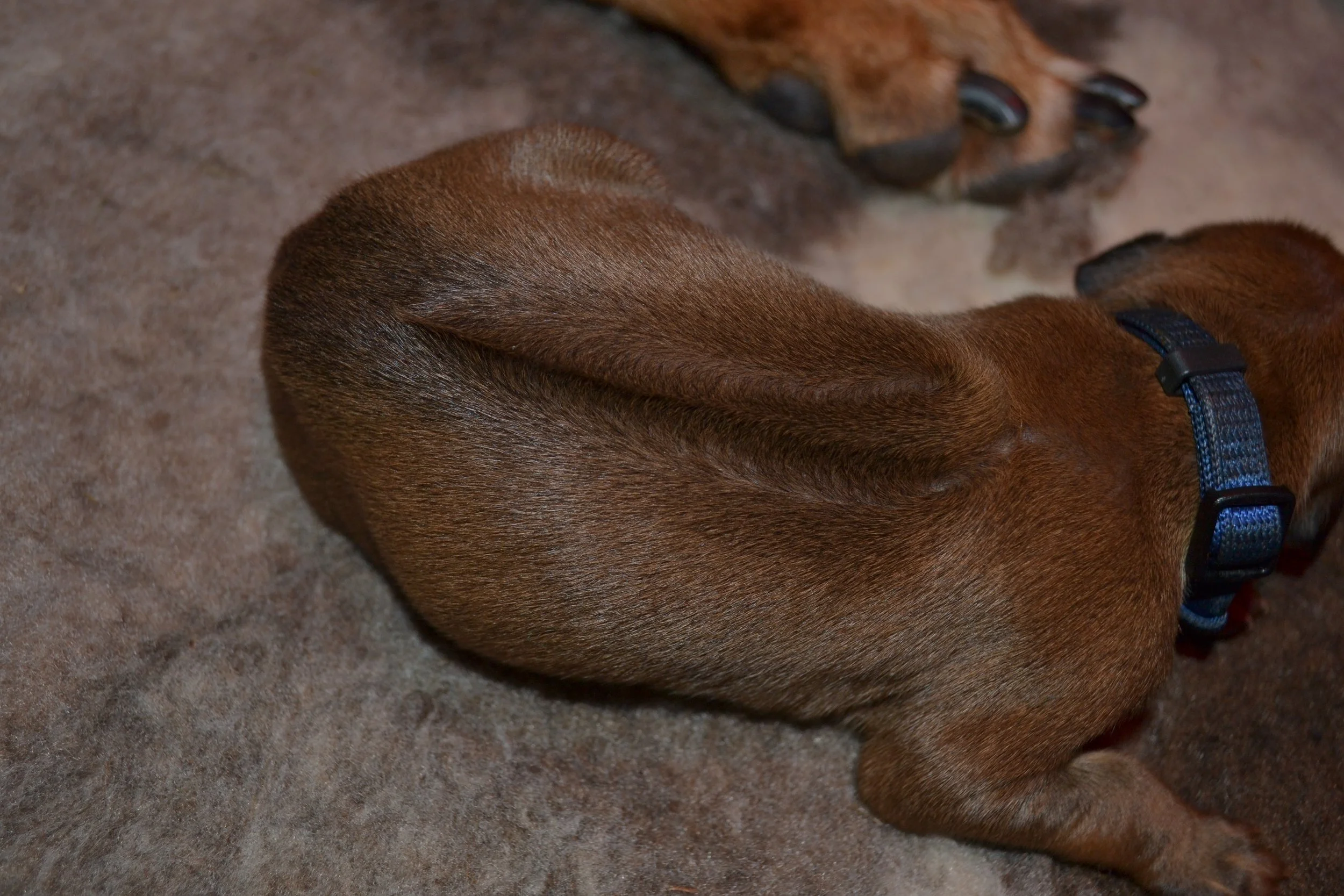 DSC_0098.JPG